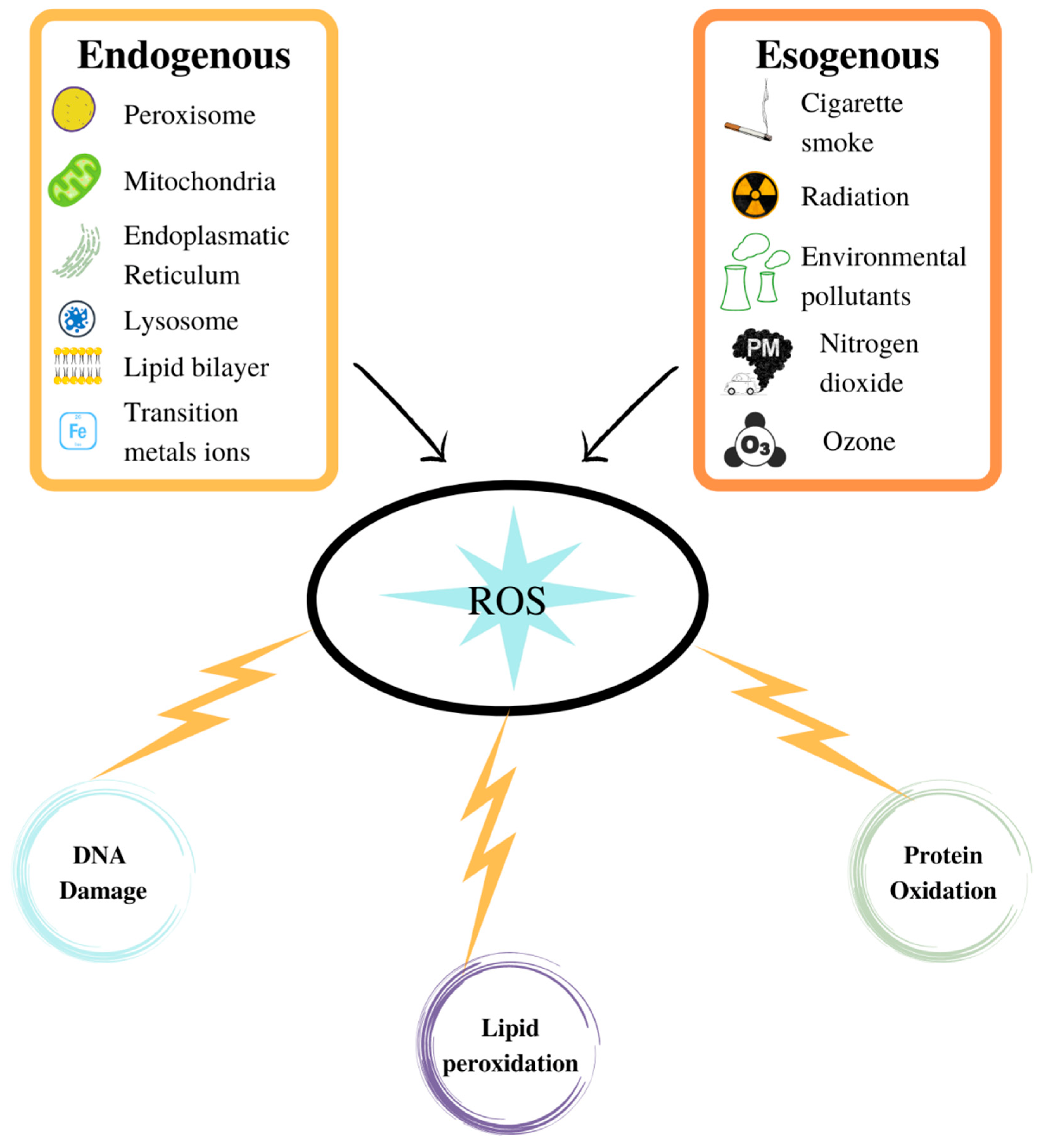 Oxygen 02 00027 g002 Oxygen 02 00027 g002