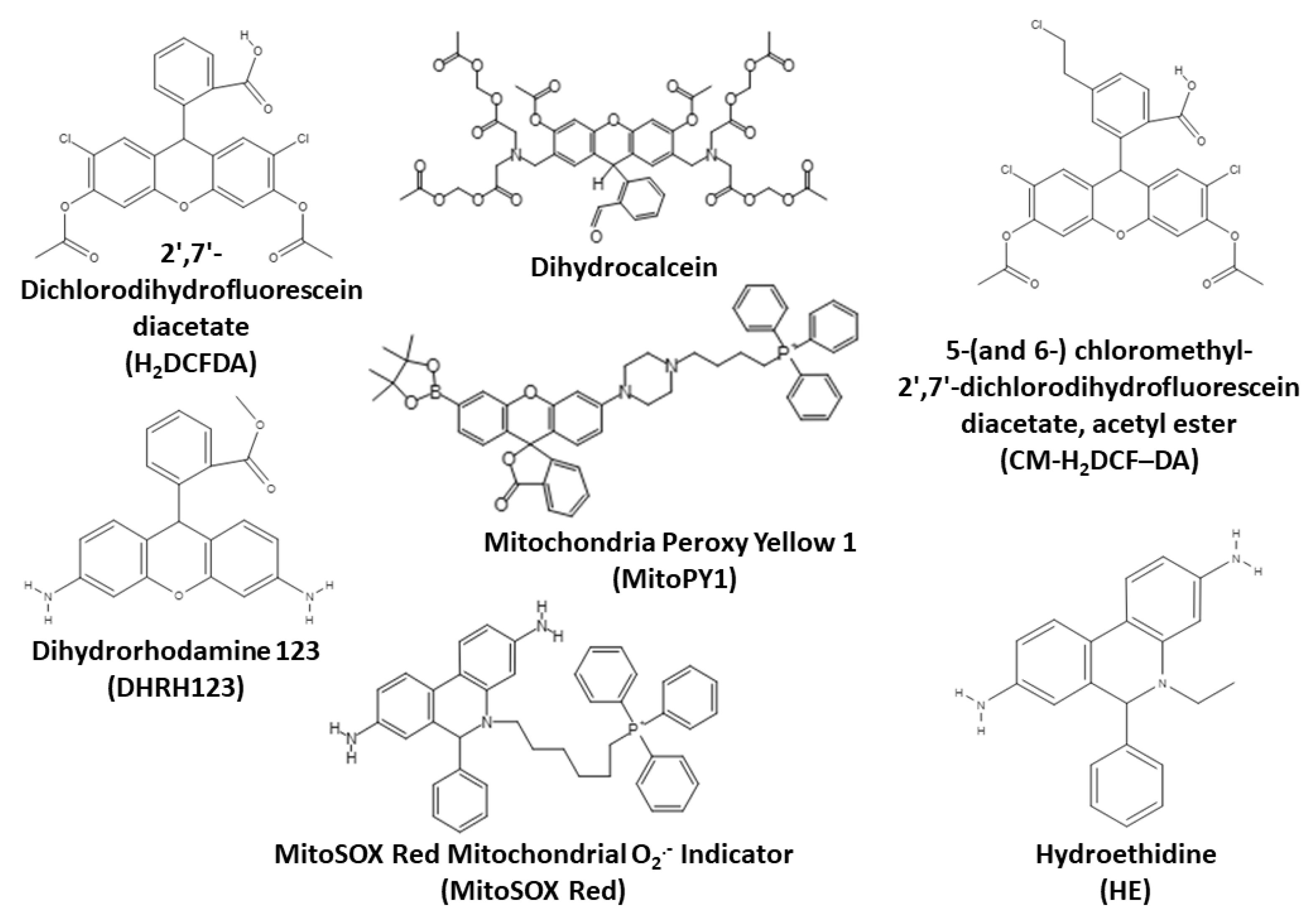 Oxygen 03 00016 g006 Oxygen 03 00016 g006