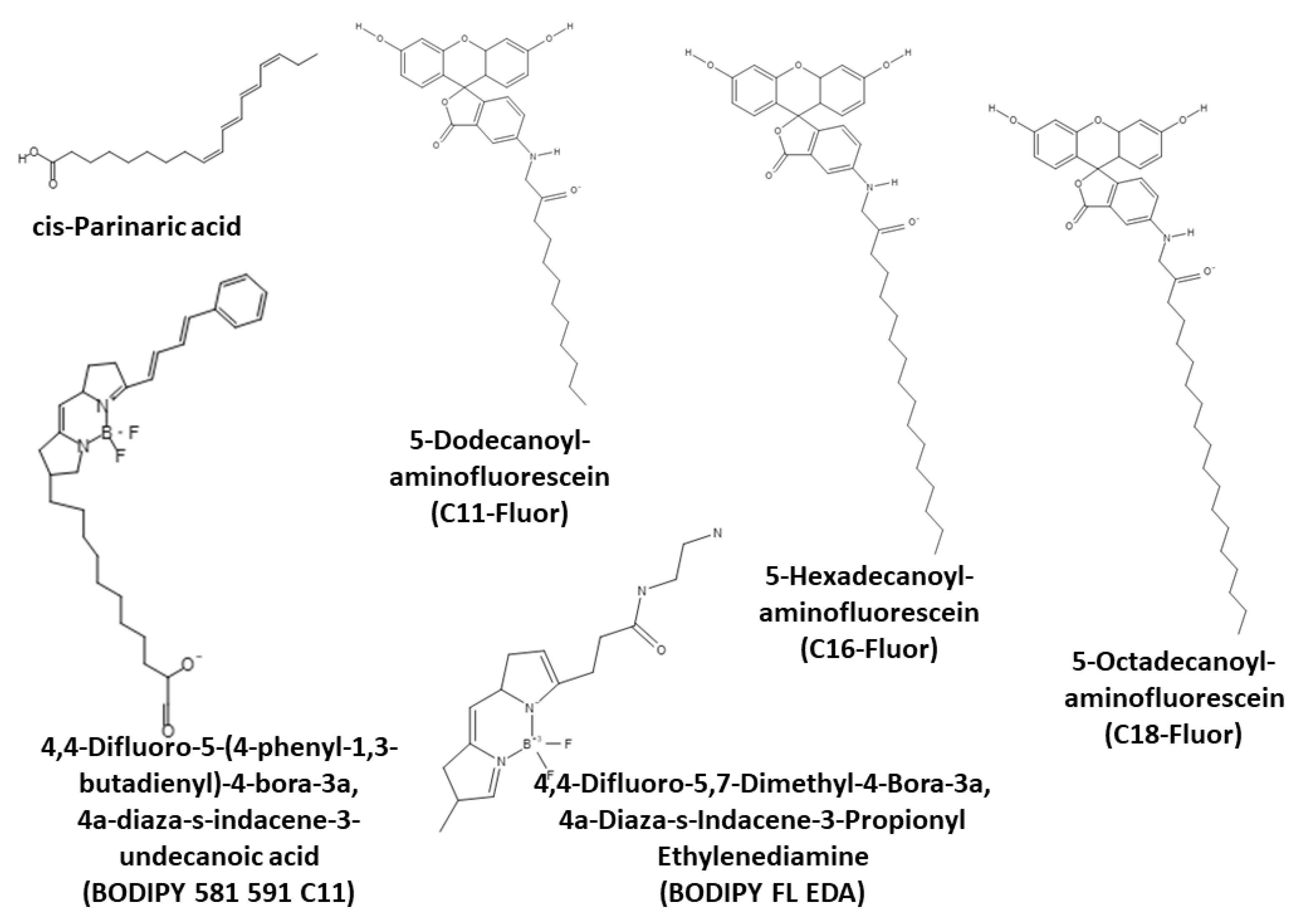 Oxygen 03 00016 g007 Oxygen 03 00016 g007