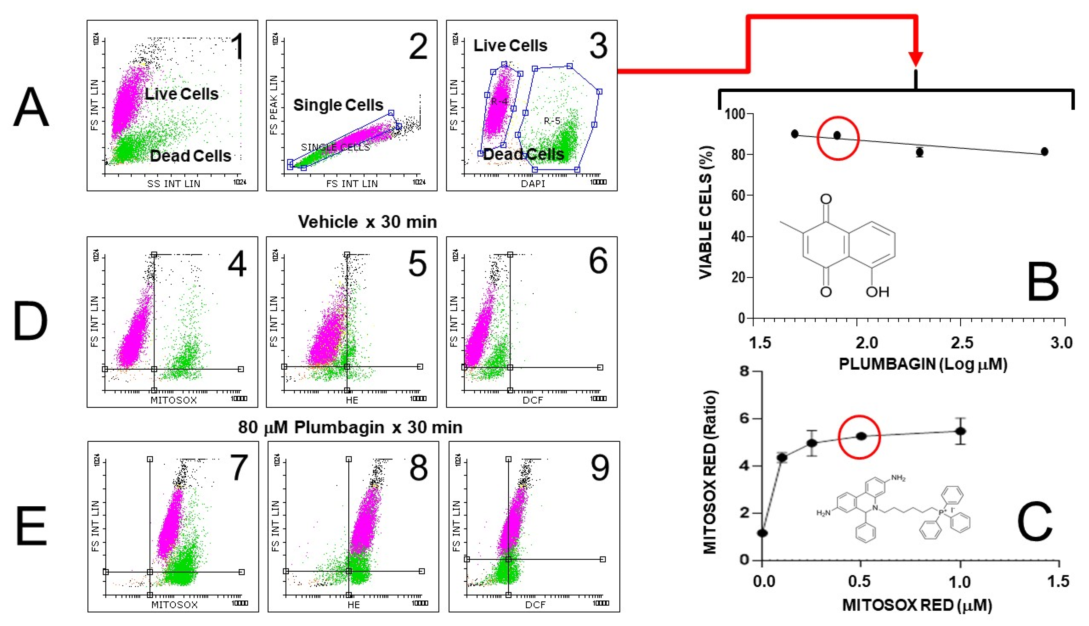 Oxygen 03 00016 g009 Oxygen 03 00016 g009