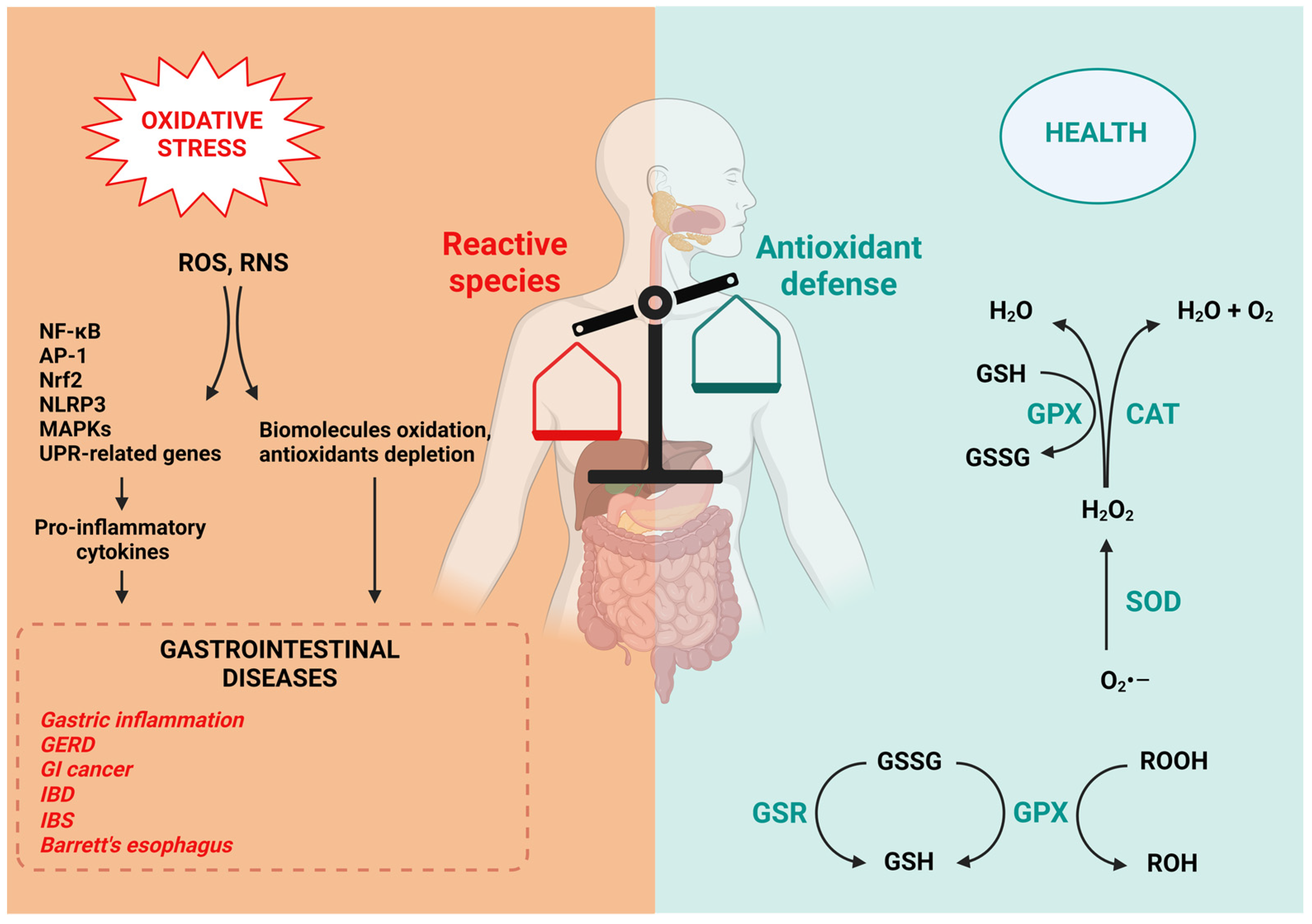 Oxygen 03 00022 g002 Oxygen 03 00022 g002