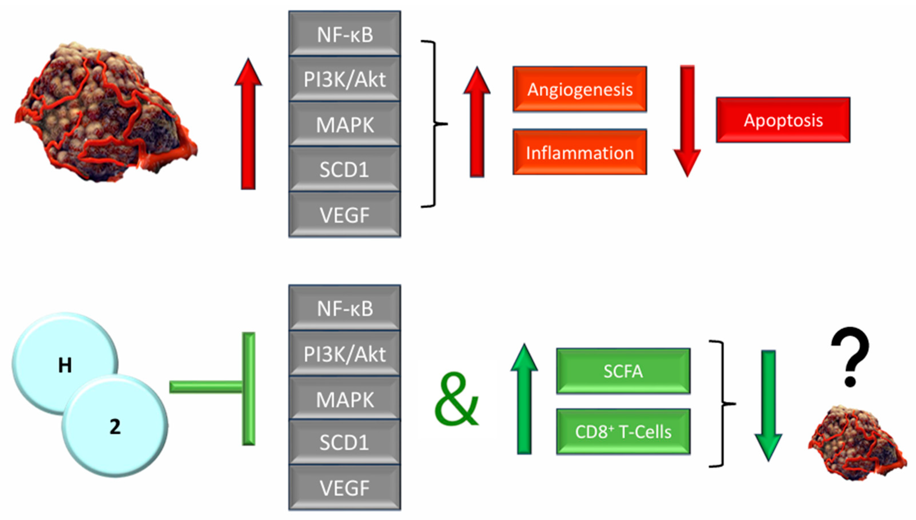 Oxygen 04 00020 g001