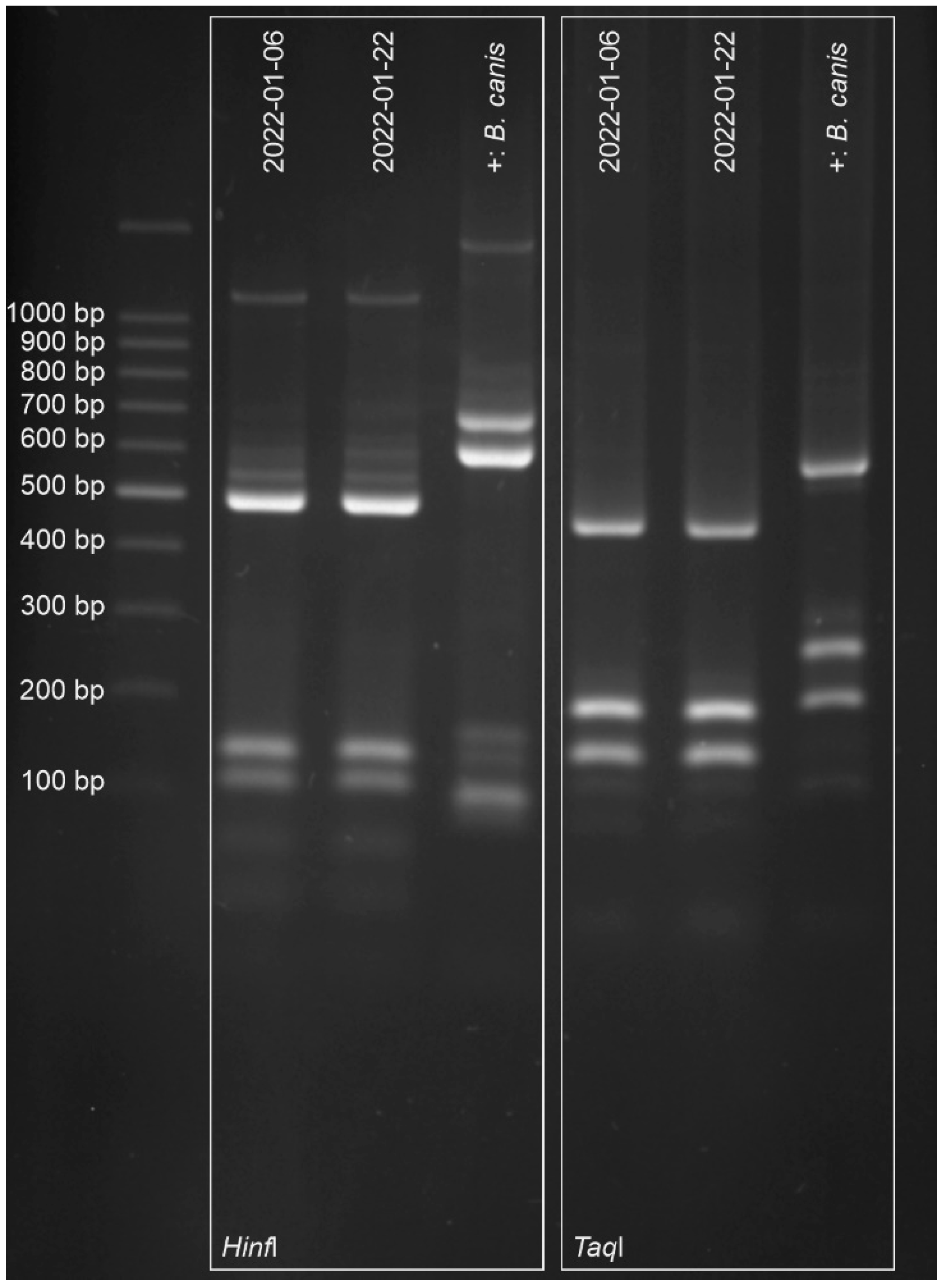 Parasitologia 03 00008 g003 Parasitologia 03 00008 g003