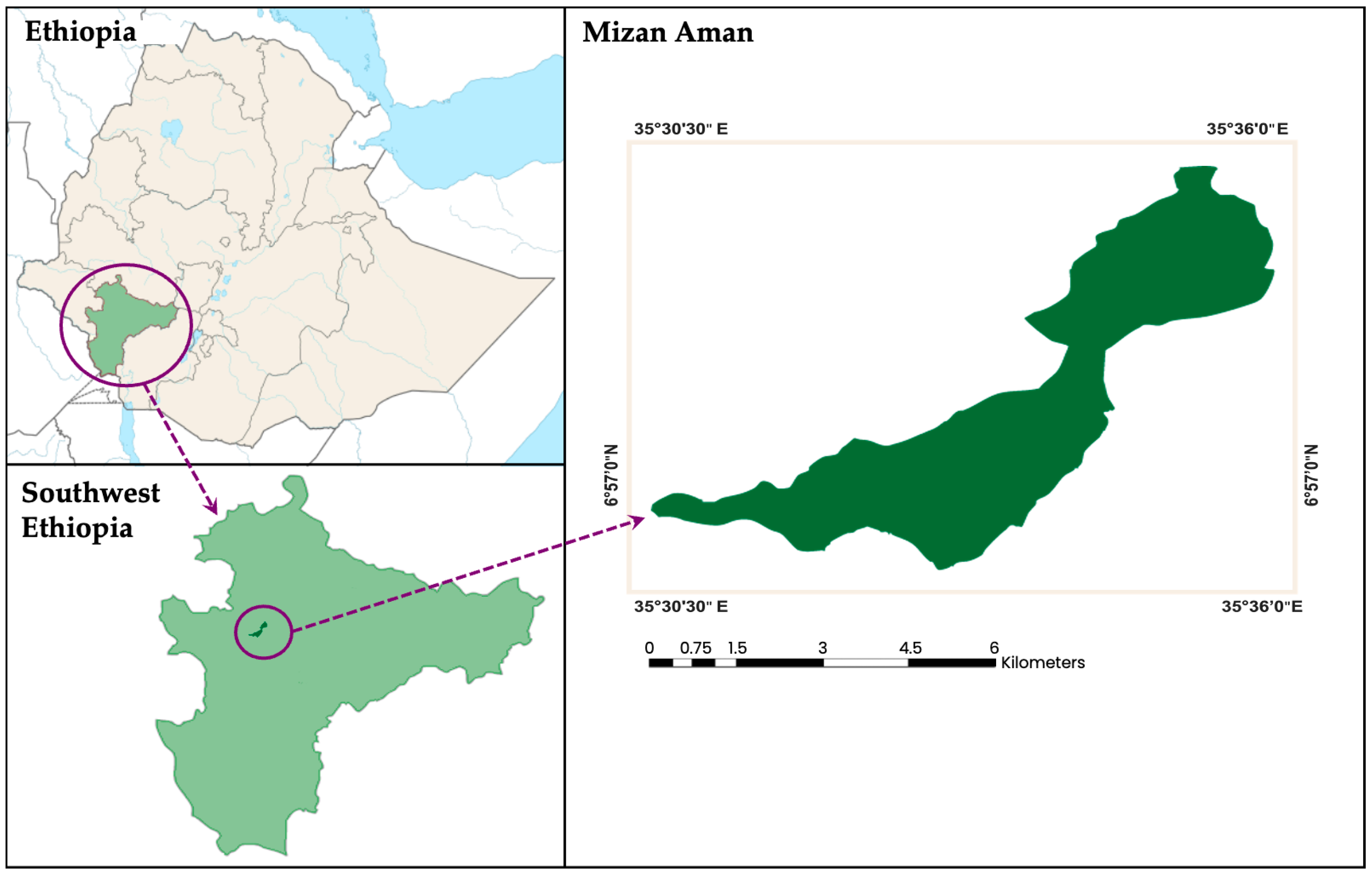 Parasitologia 05 00013 g001