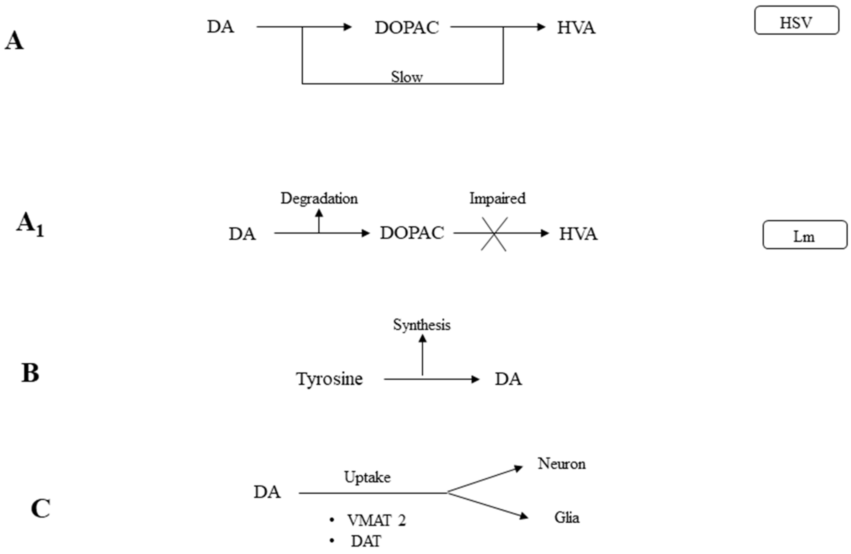 Pathogens 07 00039 g003 Pathogens 07 00039 g003