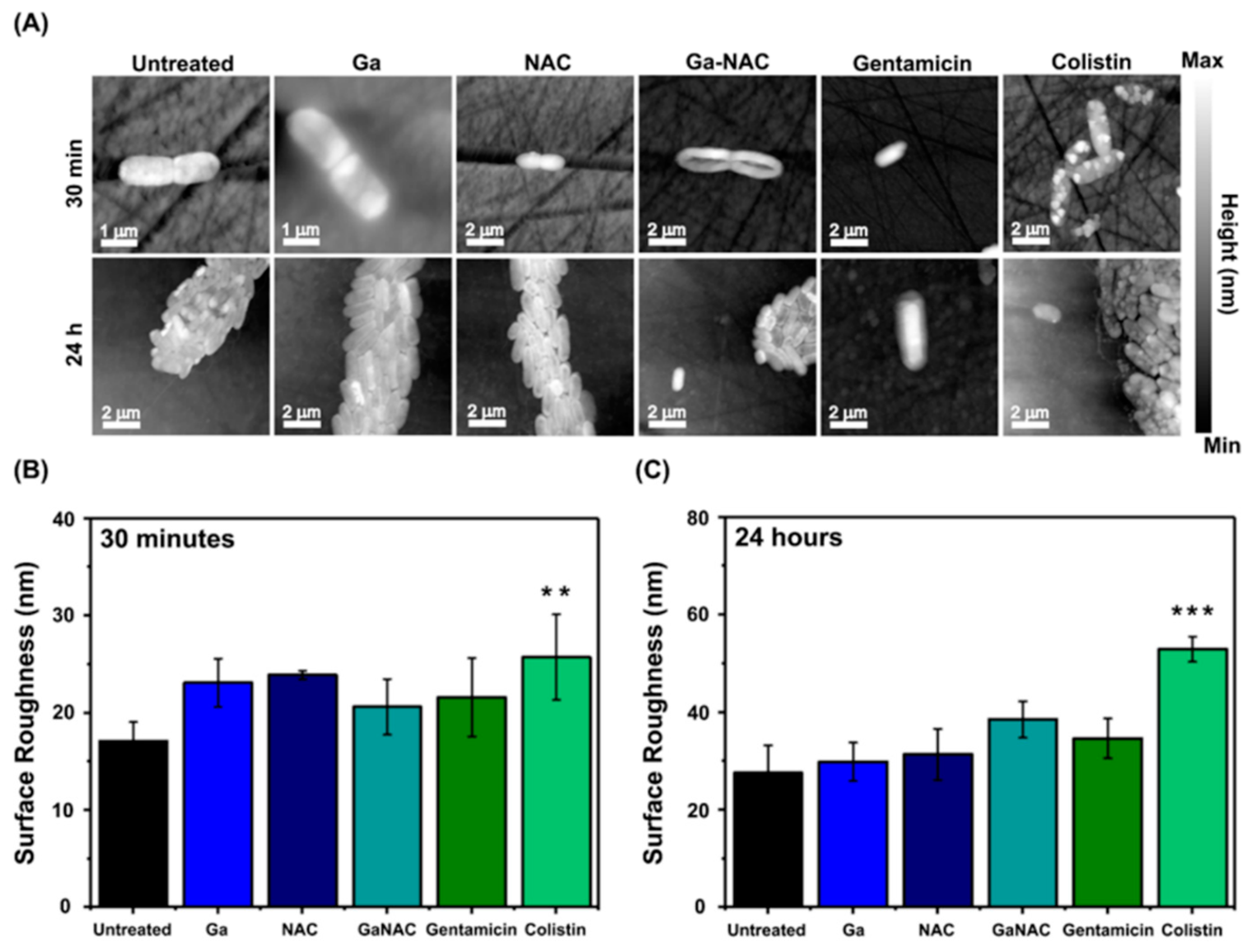 Pathogens 08 00120 g008