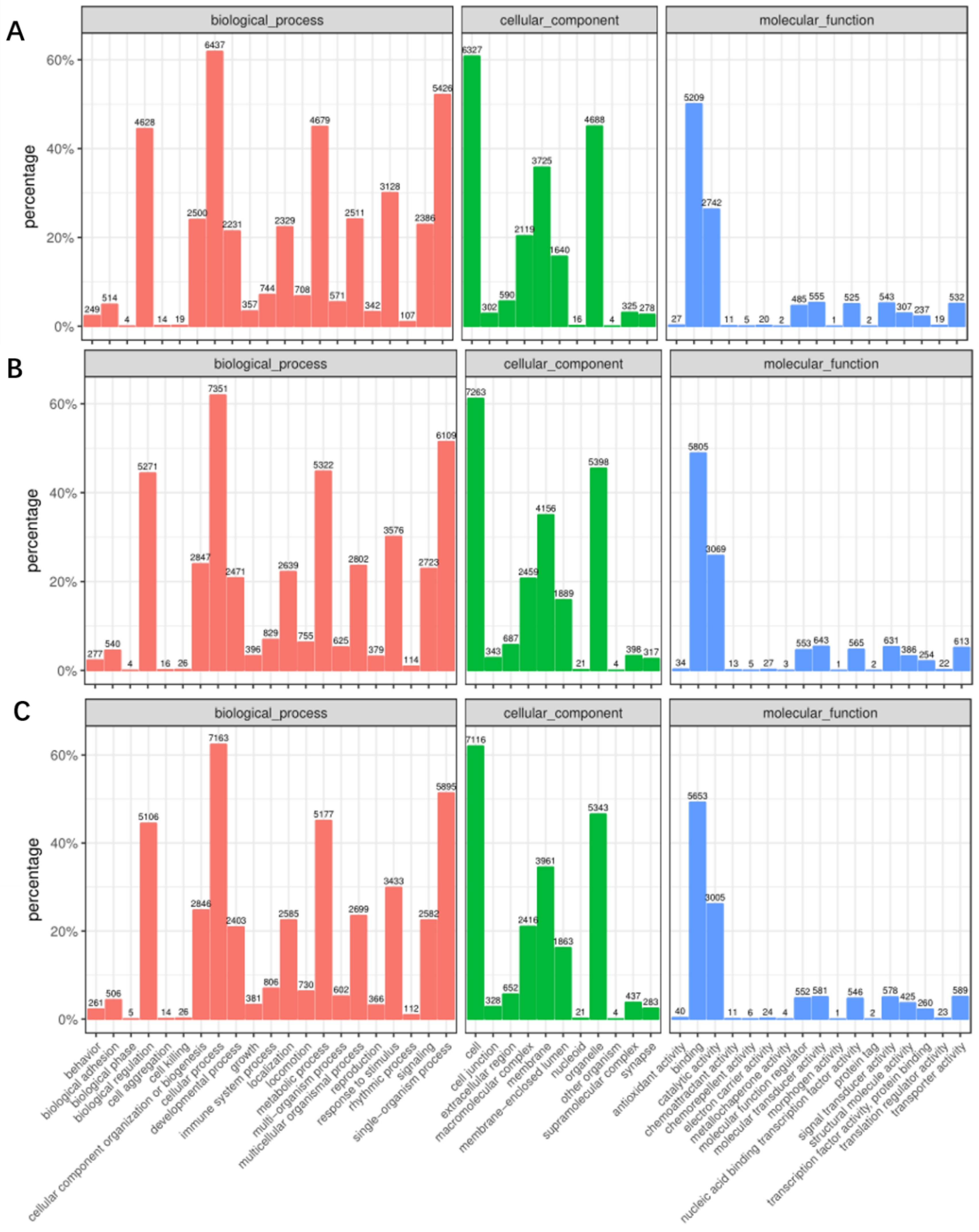 Pathogens 08 00123 g002