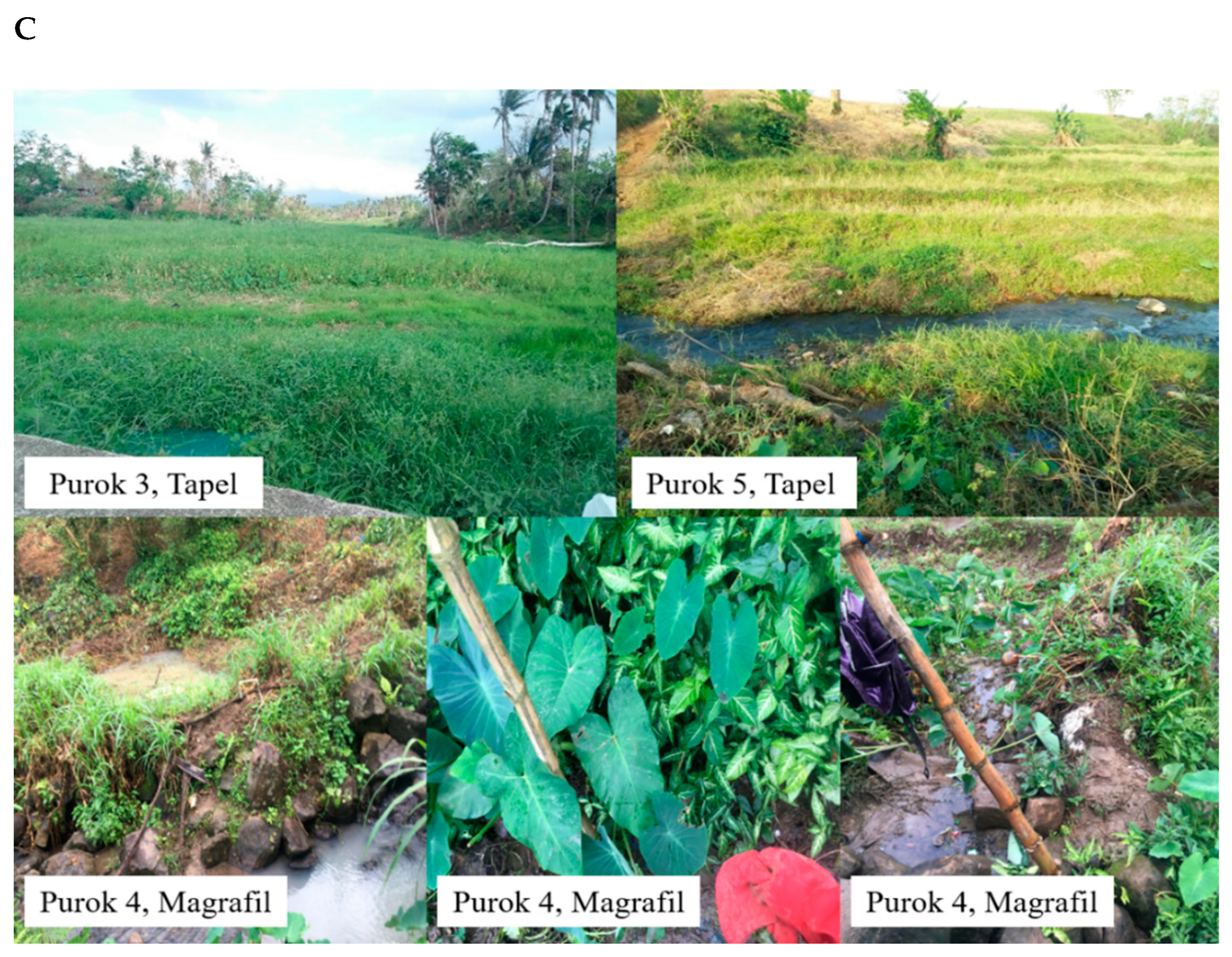 Pathogens 08 00160 g002c