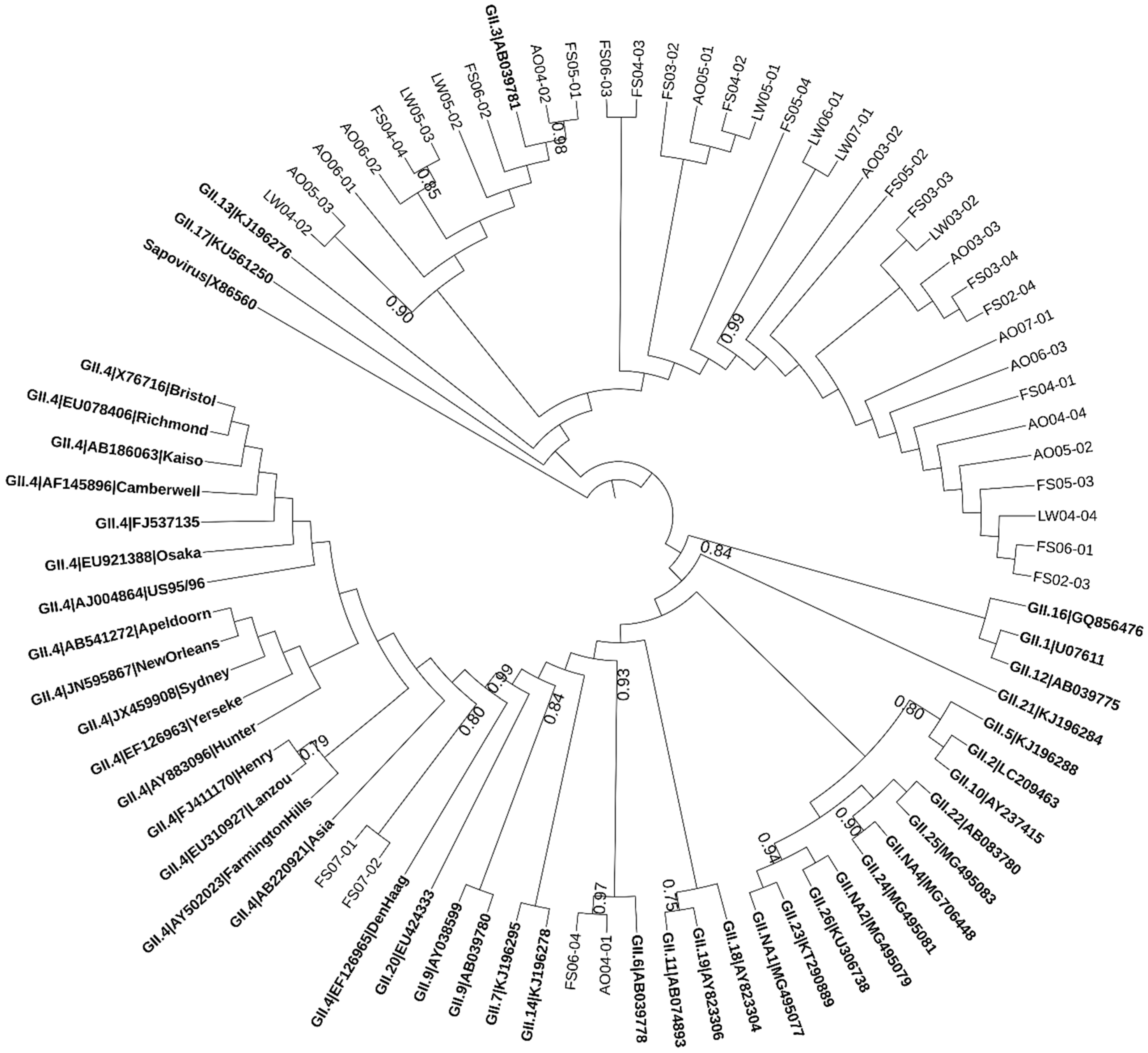 Pathogens 08 00170 g002