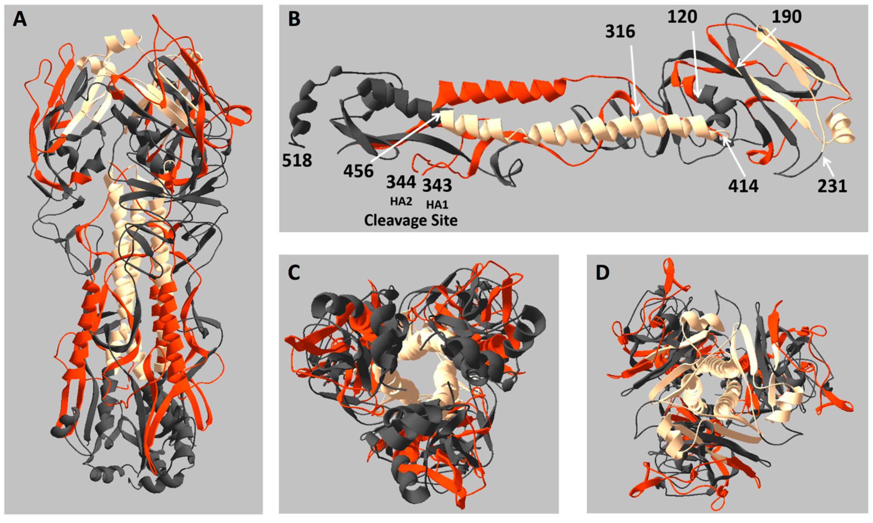 Pathogens 08 00220 g004