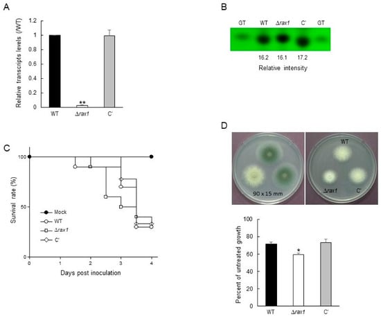 Pathogens Free Full Text Transcriptomic And Functional Studies Of The Rgs Protein Rax1 In Aspergillus Fumigatus Html