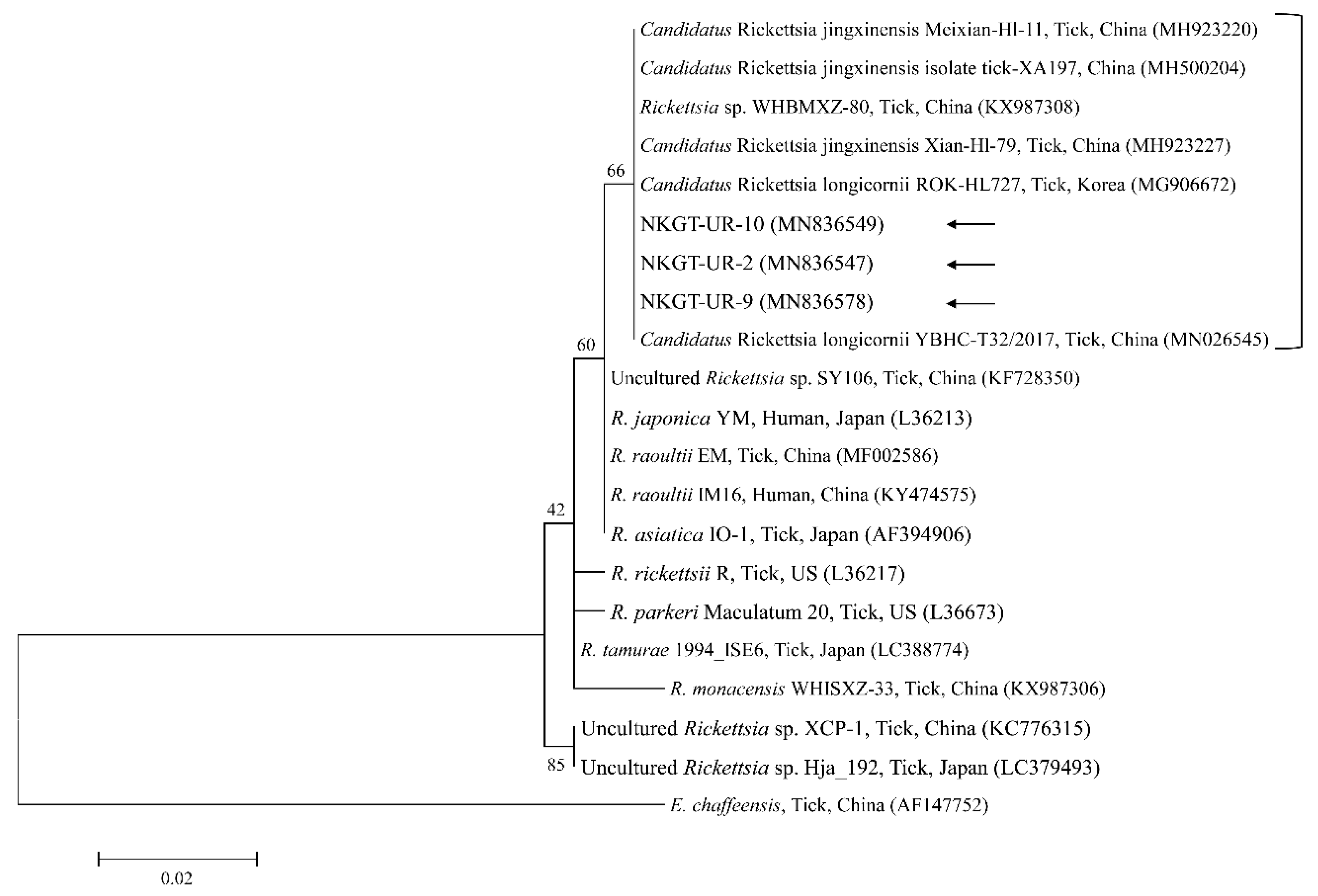 Pathogens 09 00071 g005 Pathogens 09 00071 g005