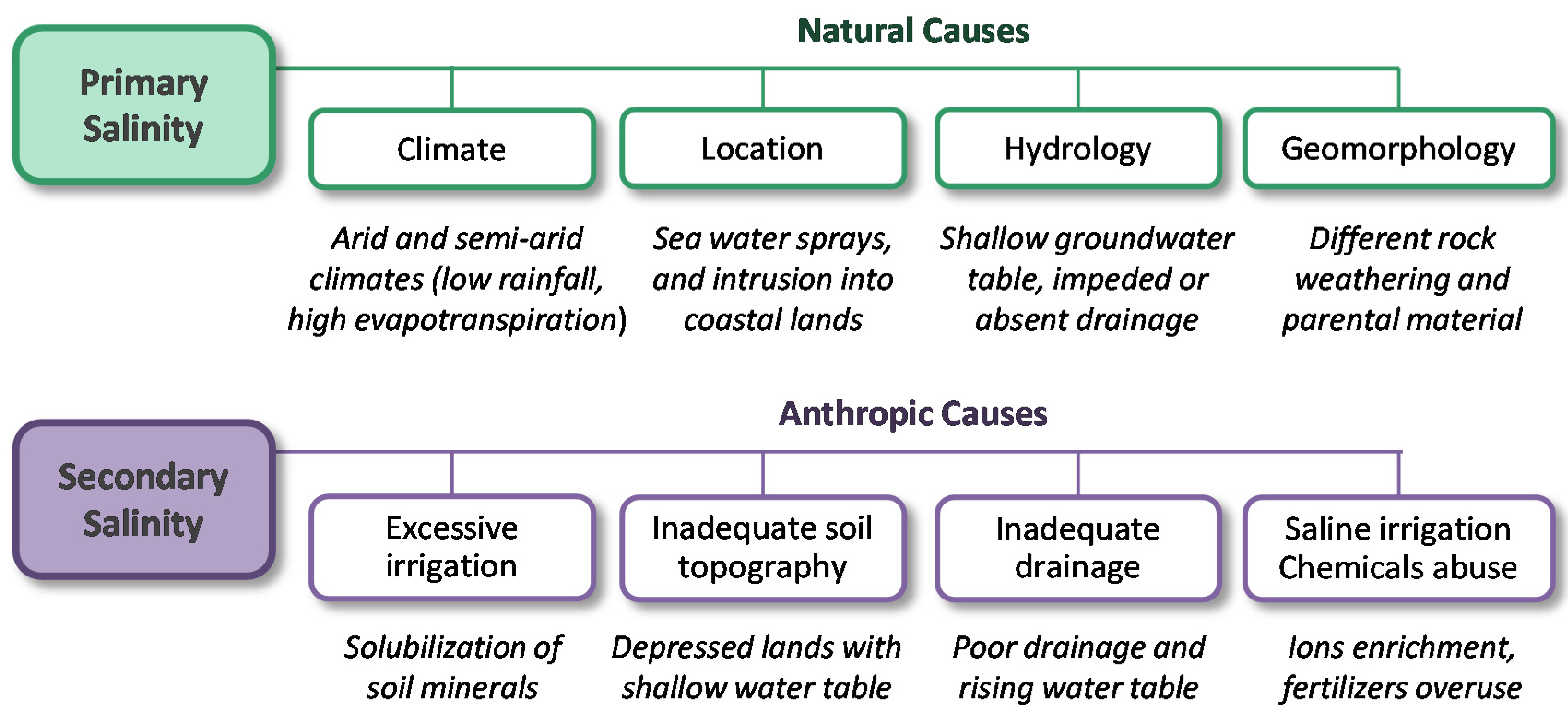Pathogens 09 00117 g006