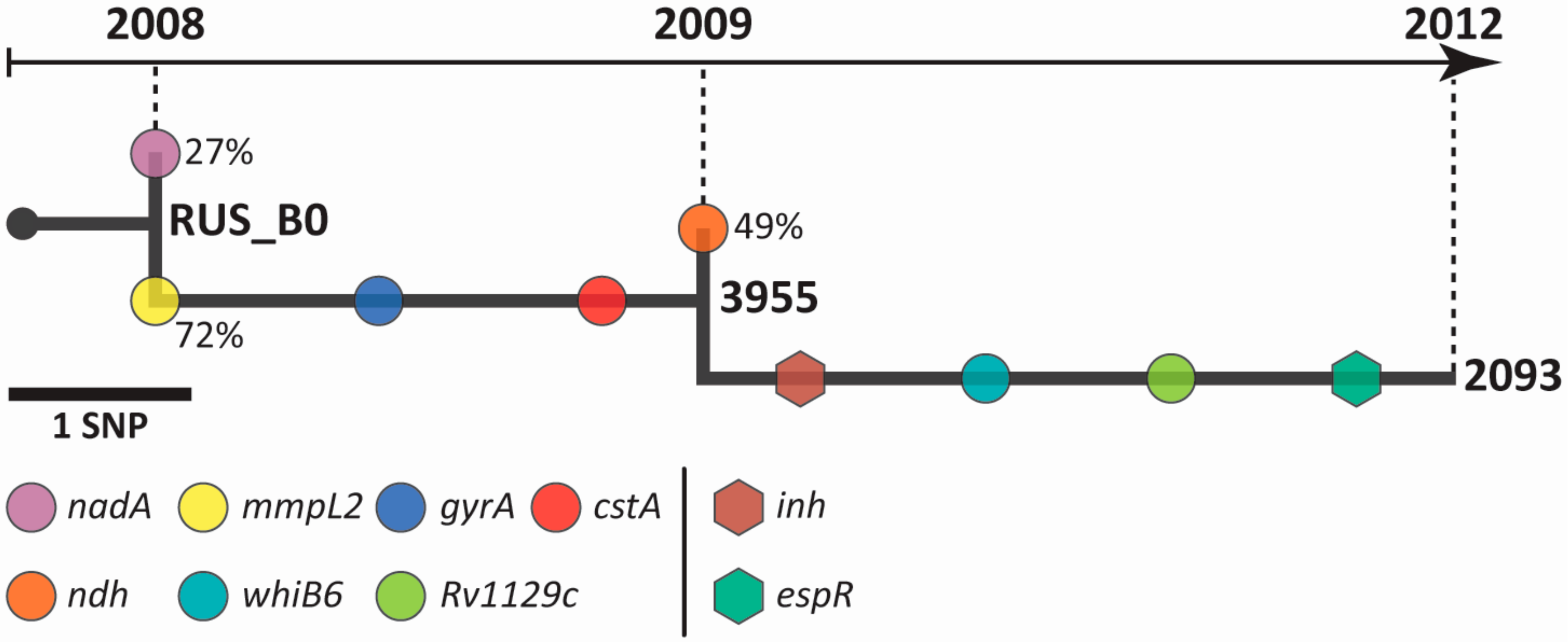 Pathogens 09 00131 g001
