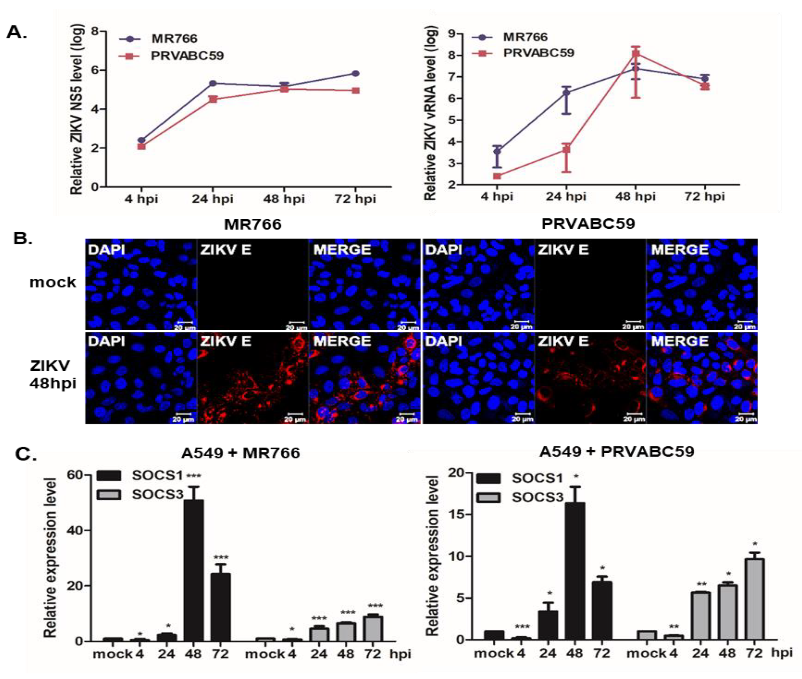 Pathogens 09 00163 g001 Pathogens 09 00163 g001
