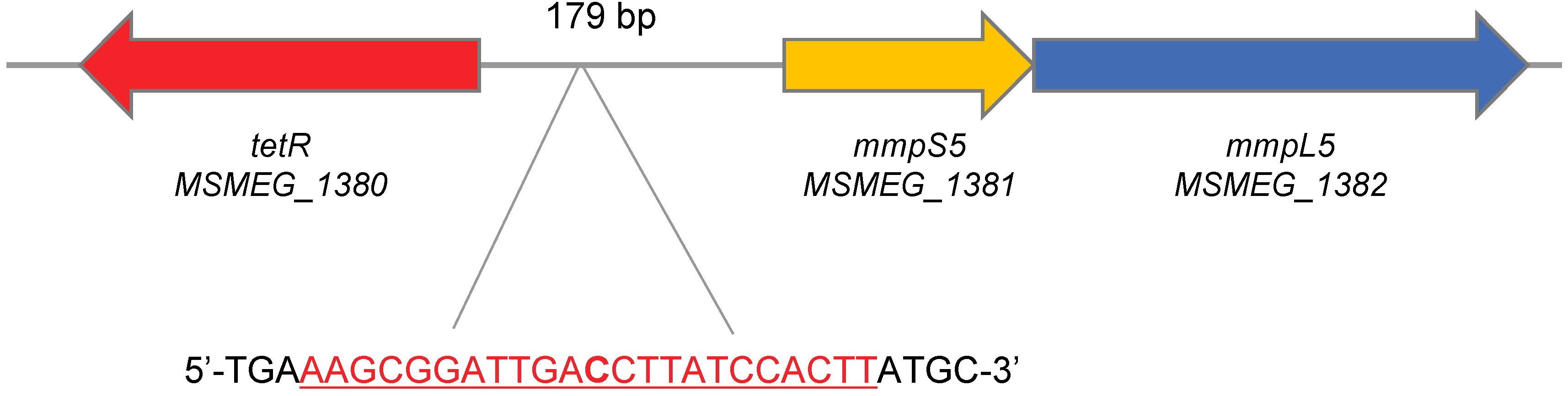 Pathogens 09 00166 g002 Pathogens 09 00166 g002