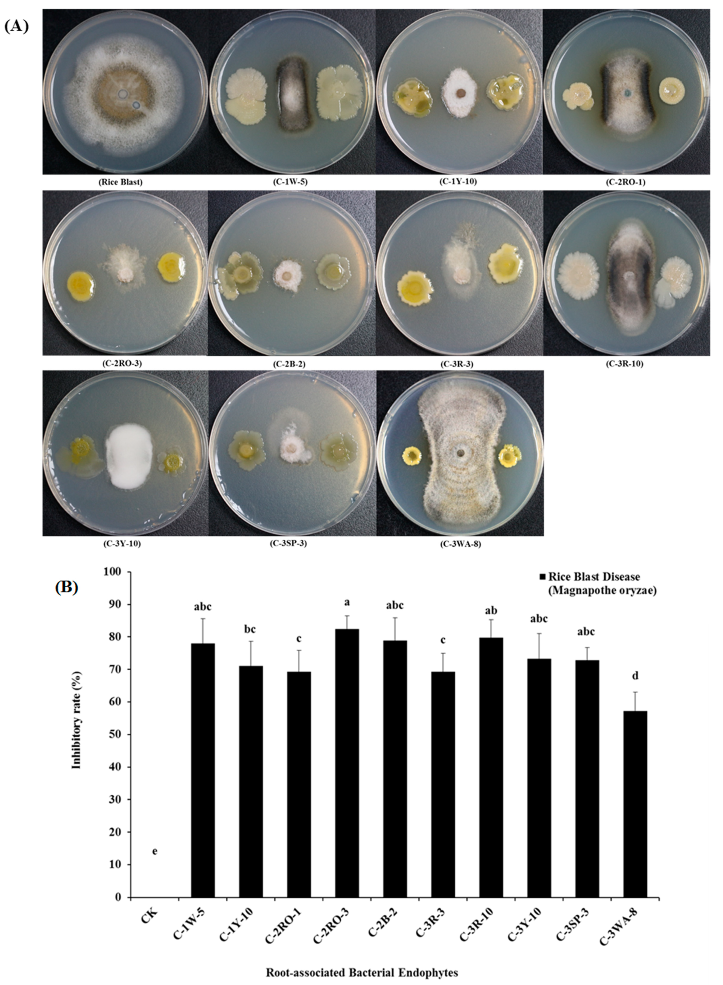 Pathogens 09 00172 g002 Pathogens 09 00172 g002