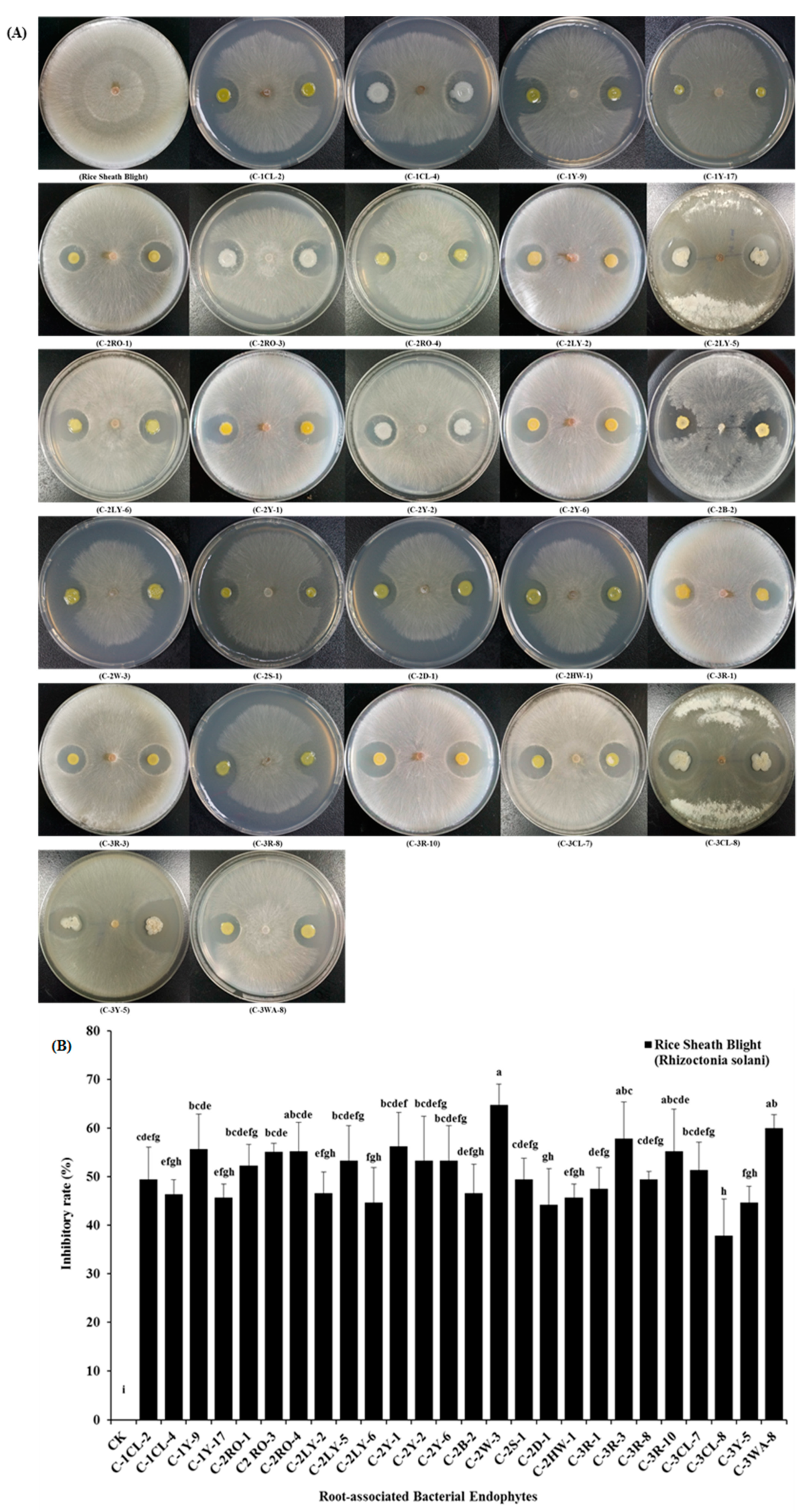 Pathogens 09 00172 g005 Pathogens 09 00172 g005