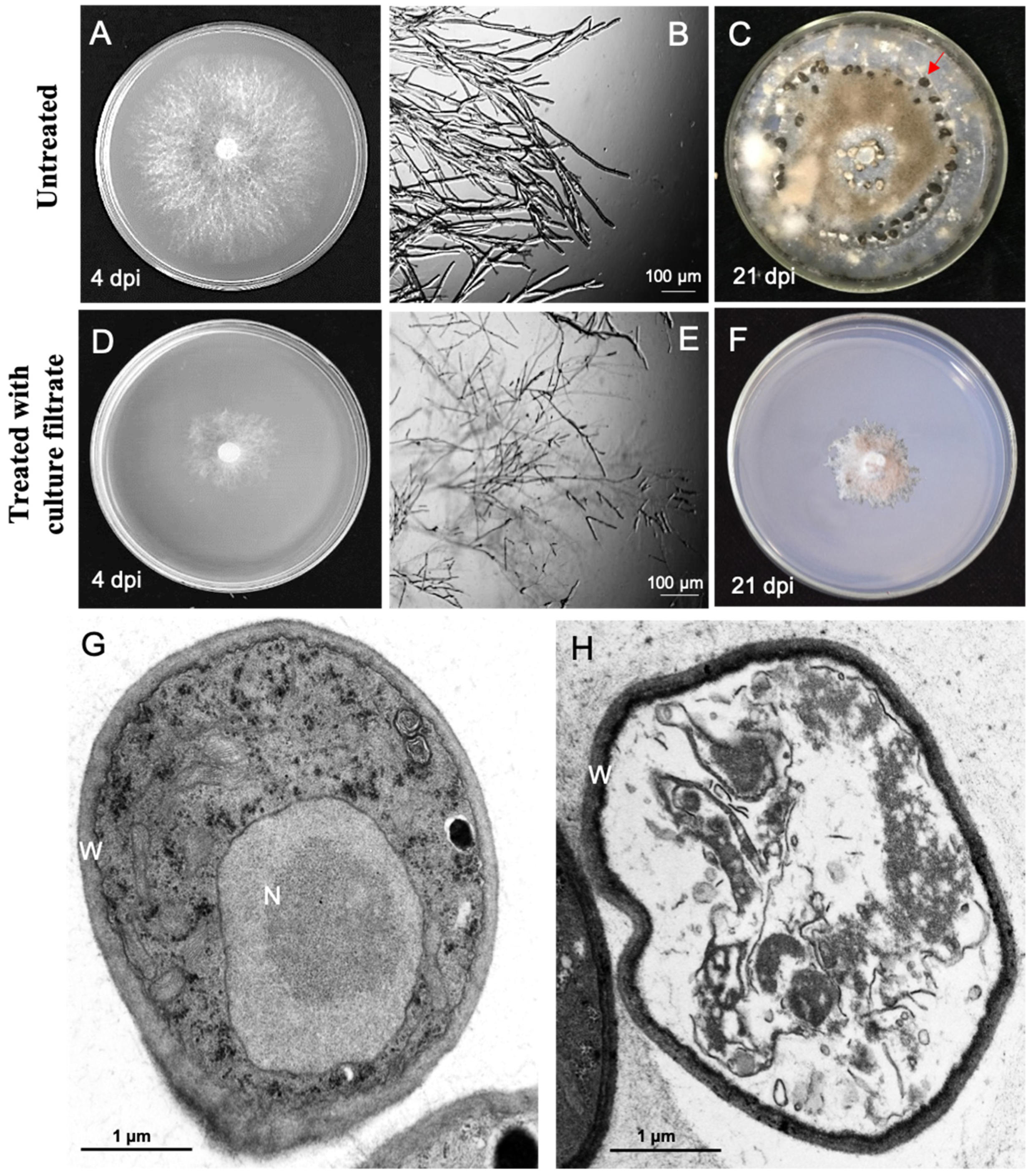 Pathogens 09 00213 g002
