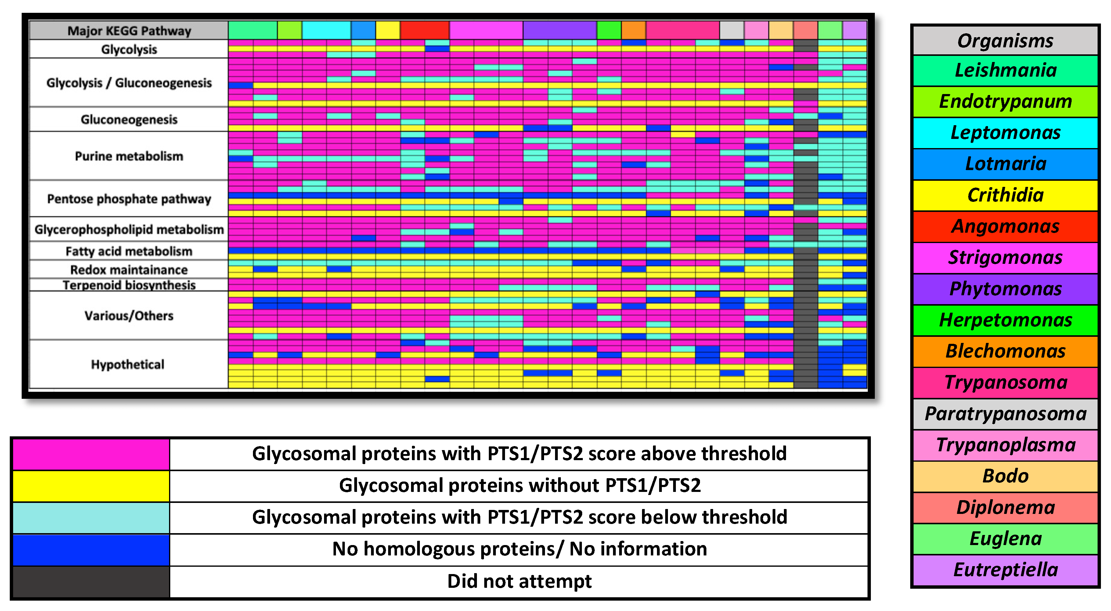 High-Confidence Glycosome Proteome for Procyclic Form Trypanosoma brucei by  Epitope-Tag Organelle Enrichment and SILAC Proteomics