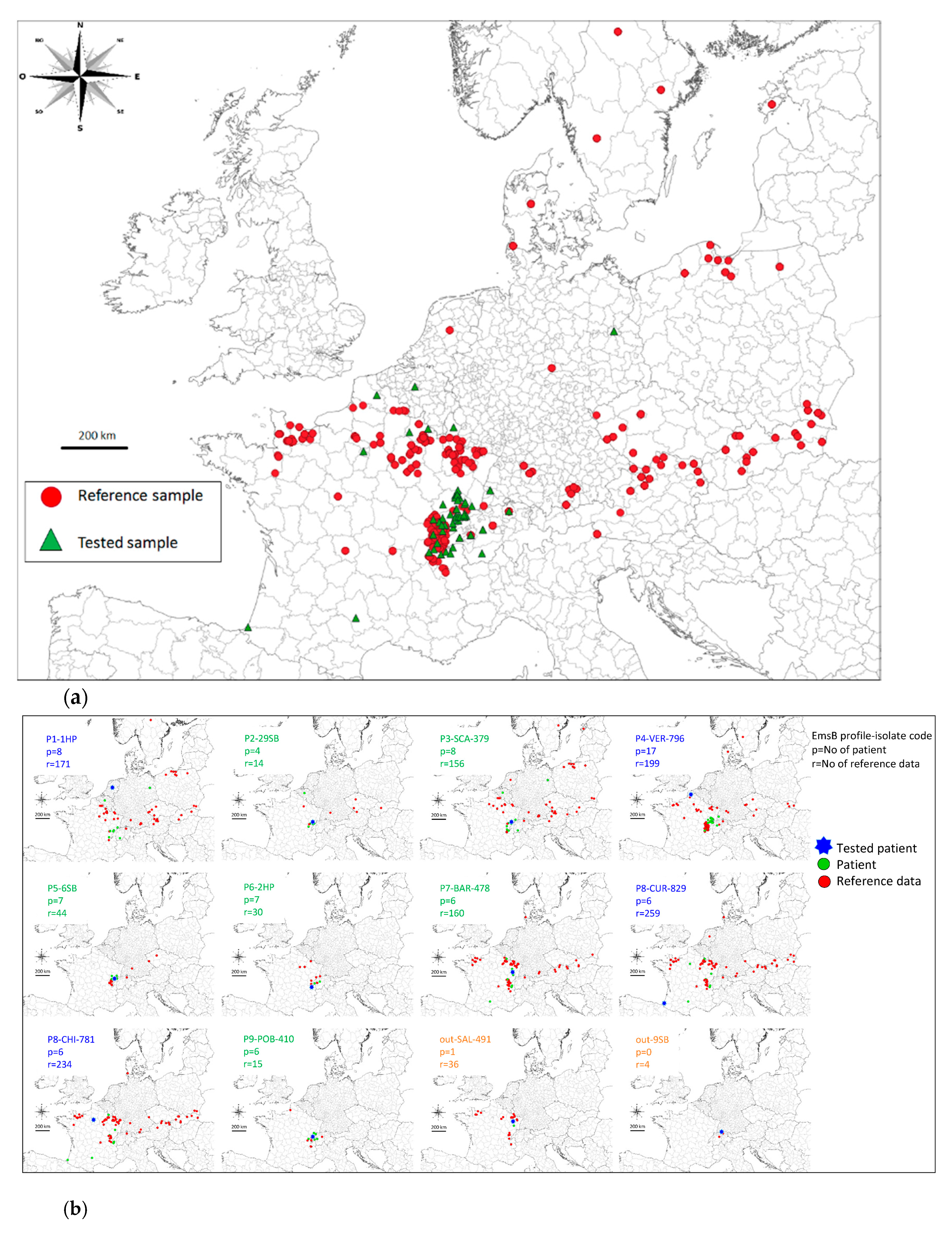 Pathogens Free Full Text Genotyping Echinococcus Multilocularis In Human Alveolar Echinococcosis Patients An Emsb Microsatellite Analysis Html