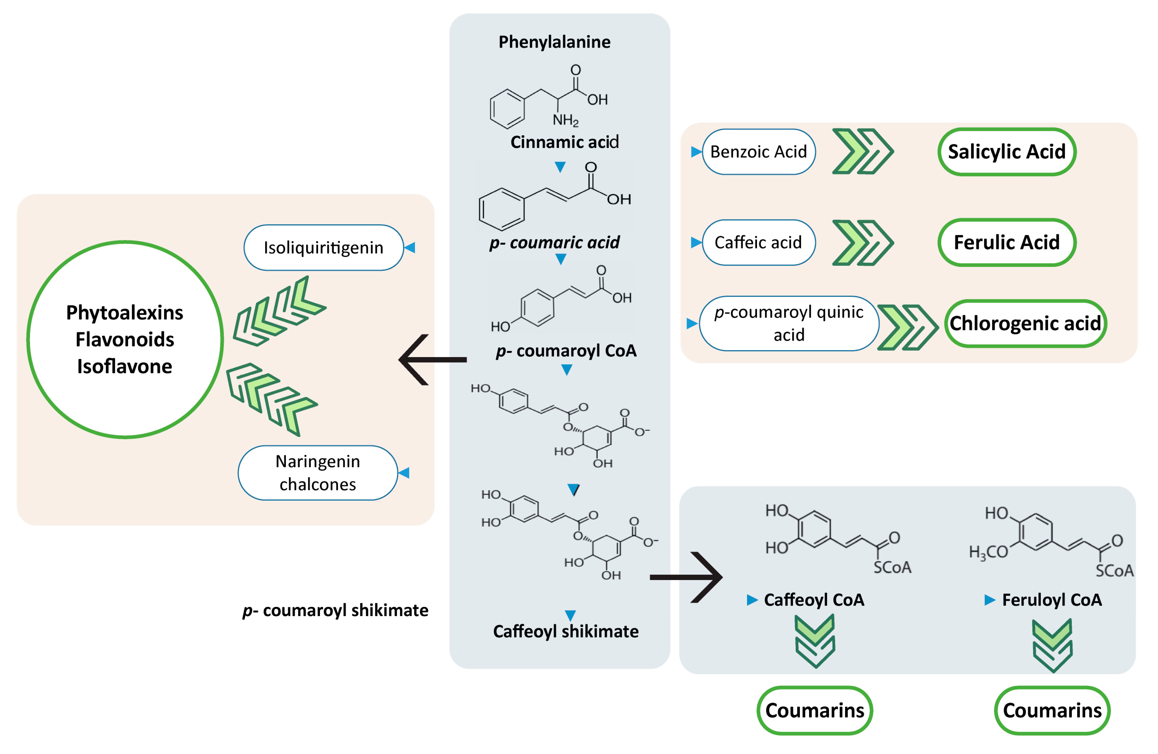 Pathogens 09 00312 g003