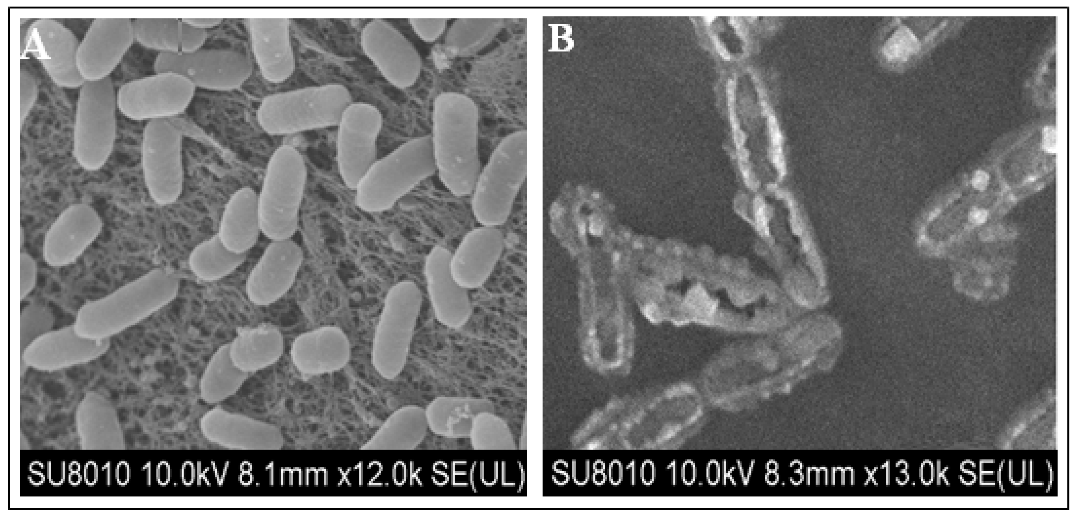 Pathogens 09 00327 g003 Pathogens 09 00327 g003