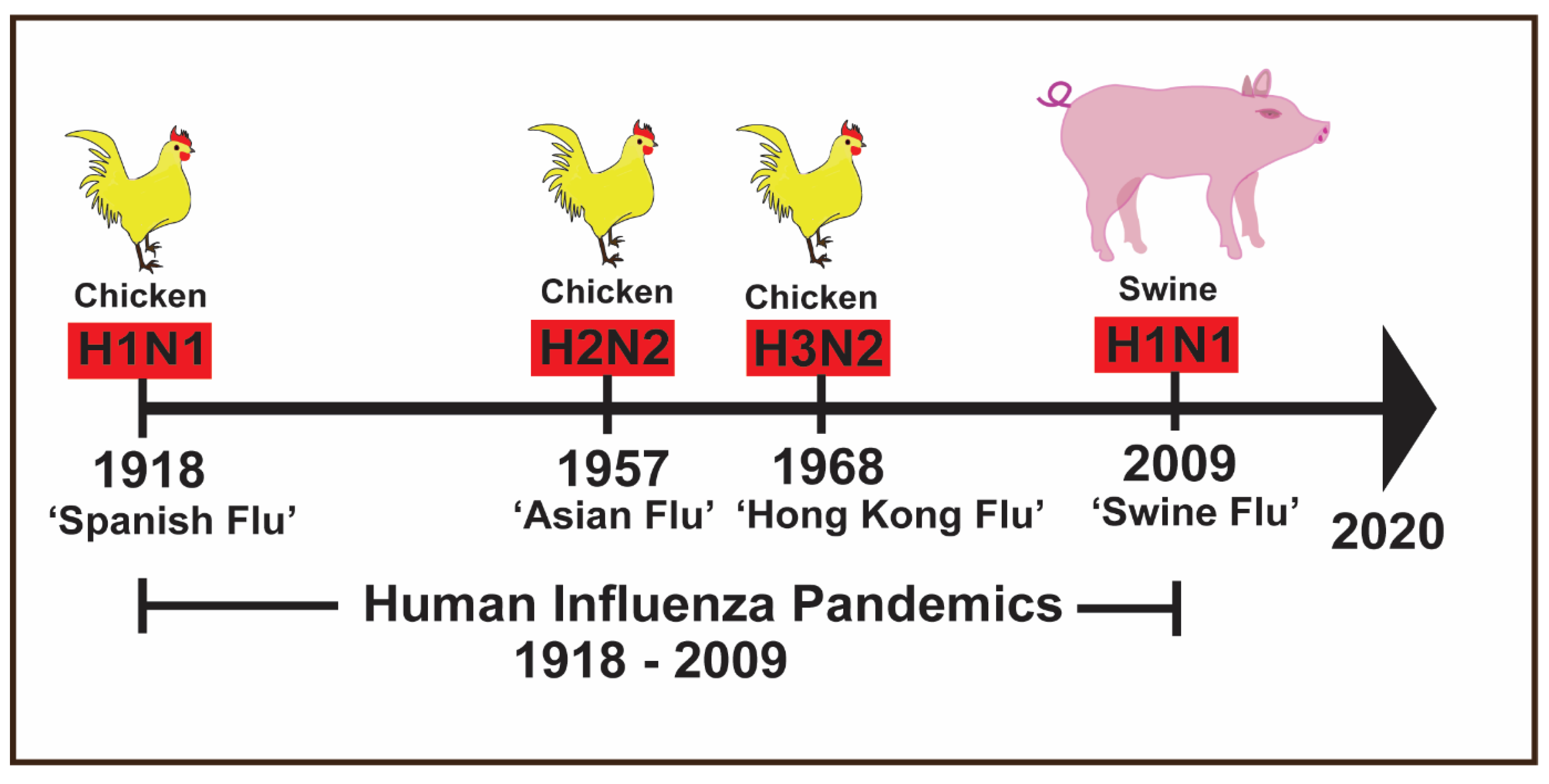 Pathogens Free Full Text A Systematic Review Analyzing The Prevalence And Circulation Of Influenza Viruses In Swine Population Worldwide Html