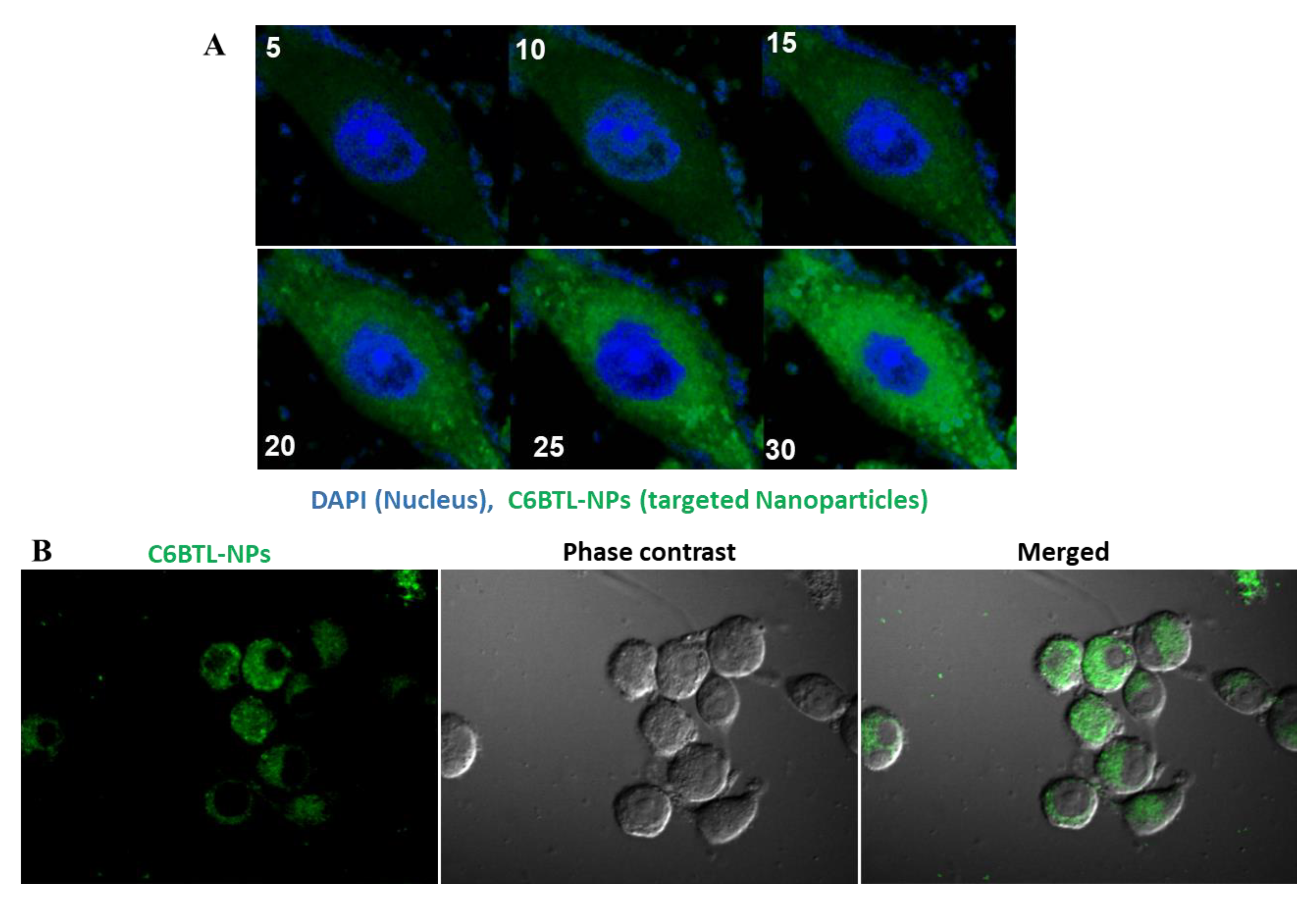 Pathogens 09 00372 g004 Pathogens 09 00372 g004