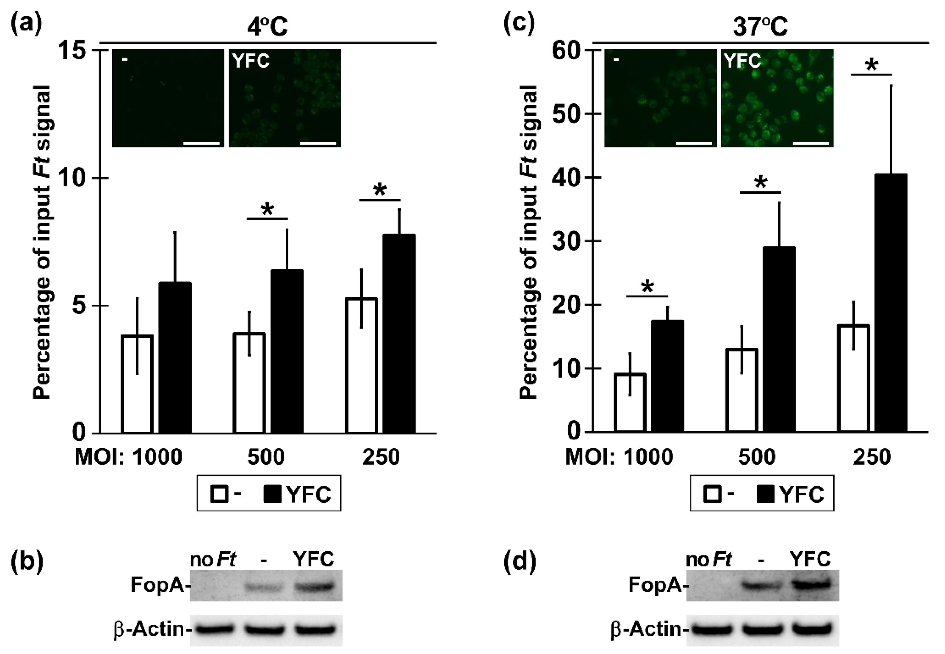 Pathogens 09 00375 g002 Pathogens 09 00375 g002