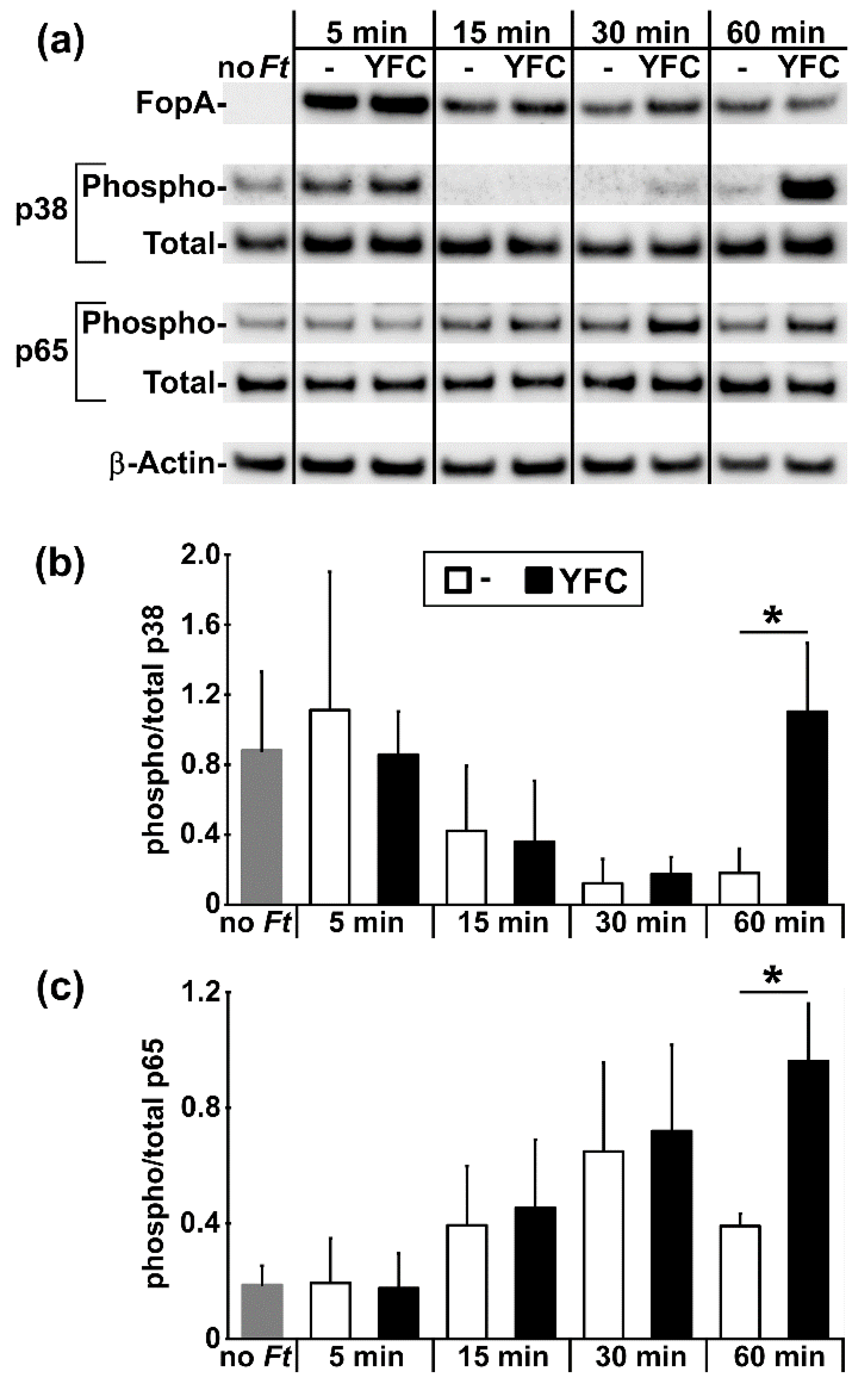 Pathogens 09 00375 g003 Pathogens 09 00375 g003