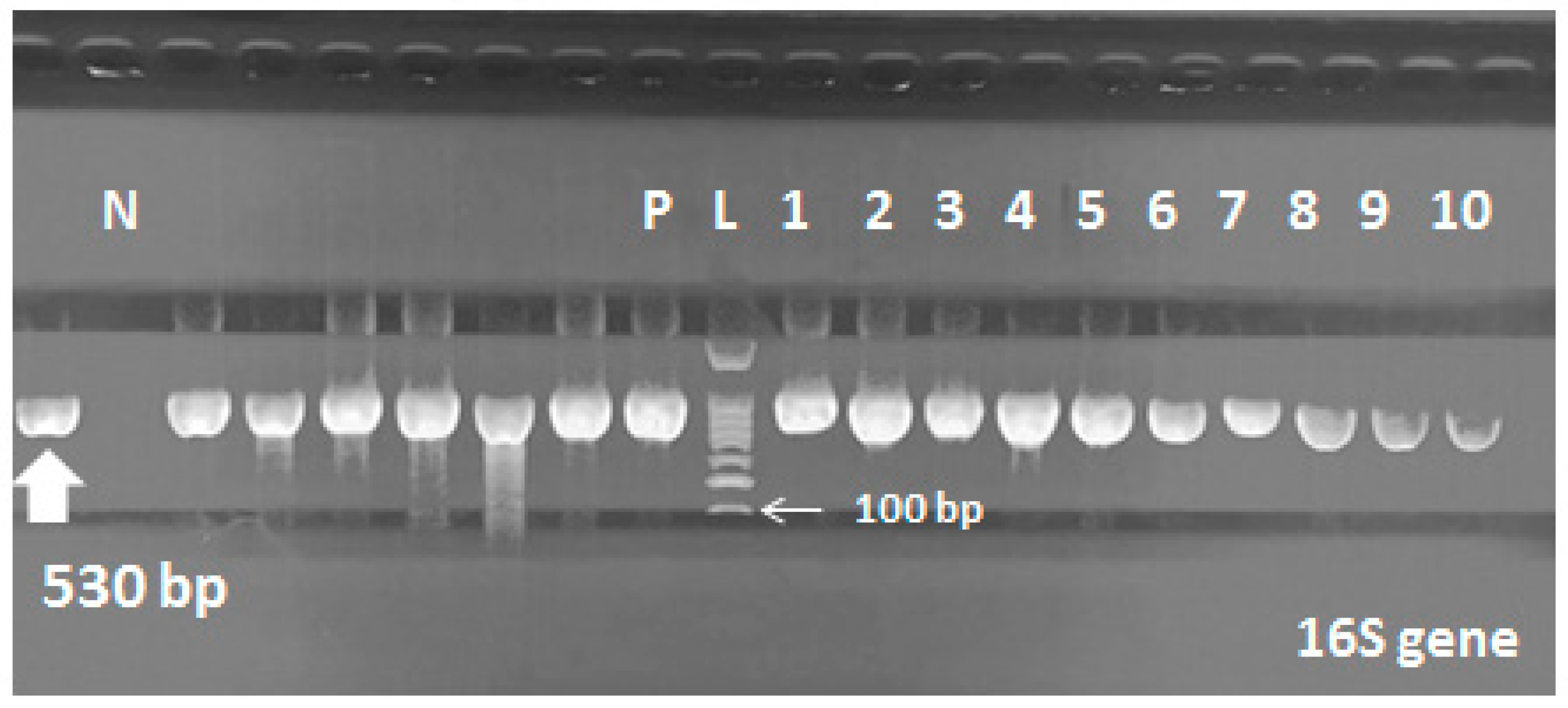 Pathogens 09 00471 g002 Pathogens 09 00471 g002