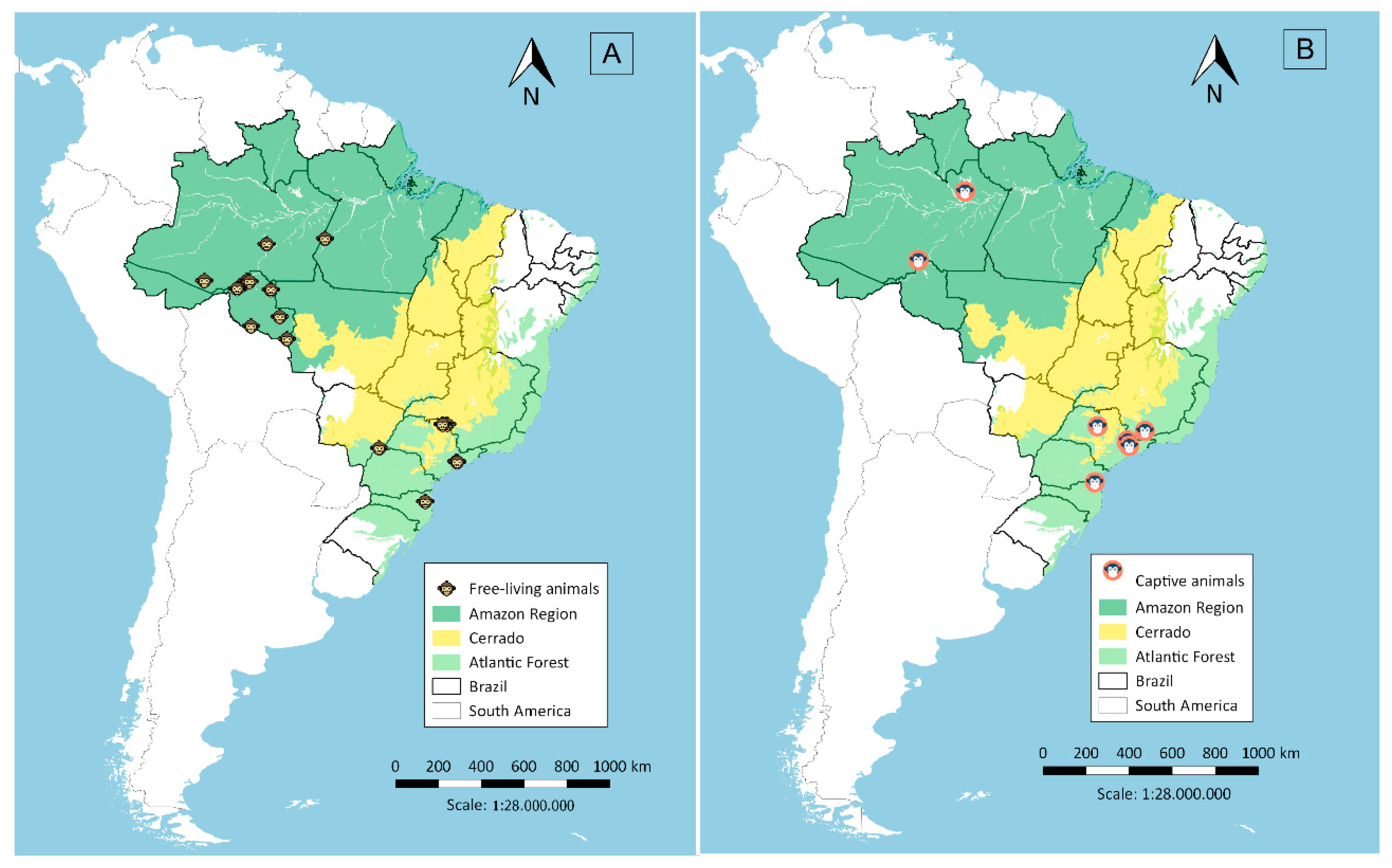 Pathogens | Free Full-Text | Naturally Acquired Humoral Immunity against  Malaria Parasites in Non-Human Primates from the Brazilian Amazon, Cerrado  and Atlantic Forest