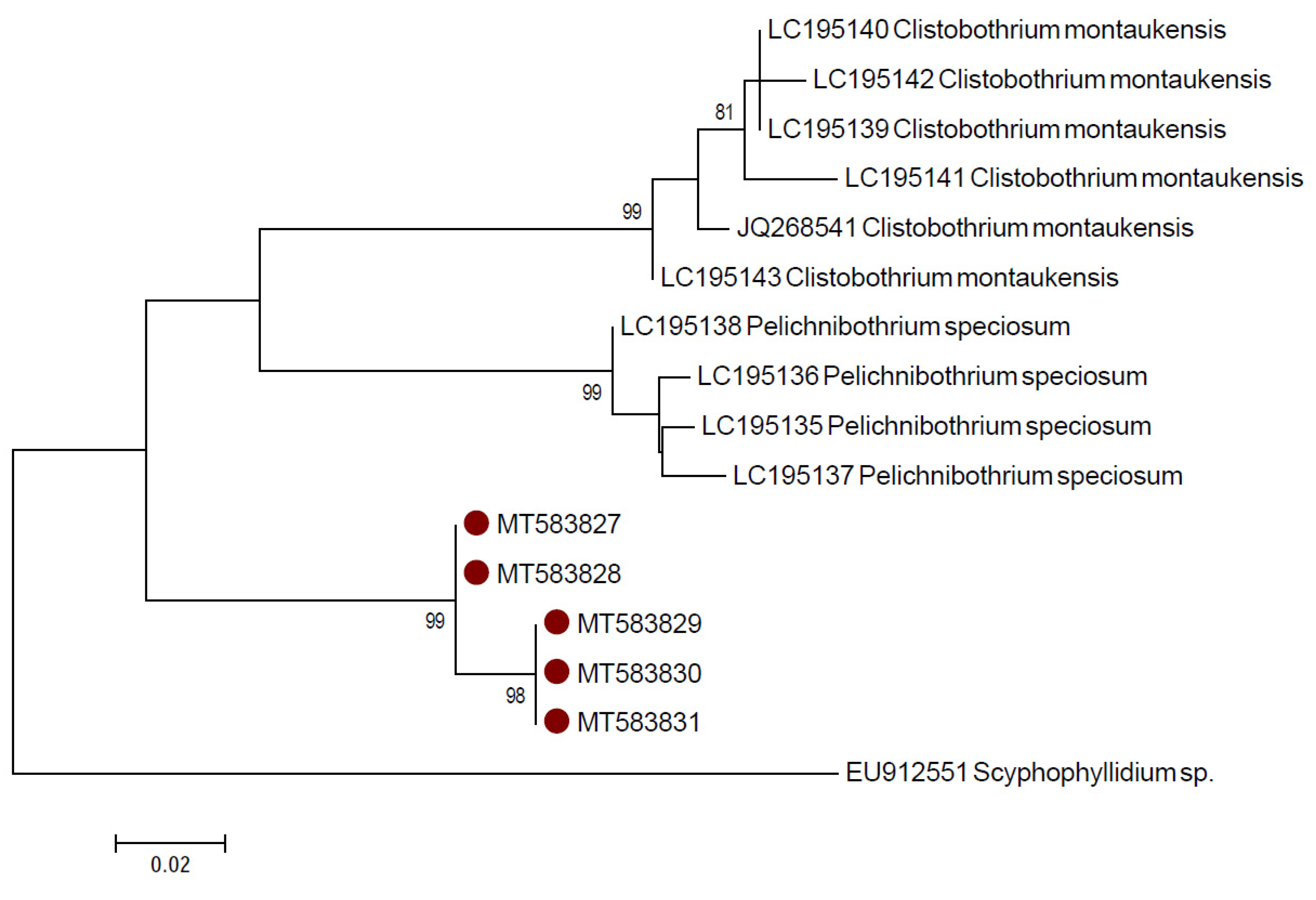 Pathogens 09 00596 g005 Pathogens 09 00596 g005