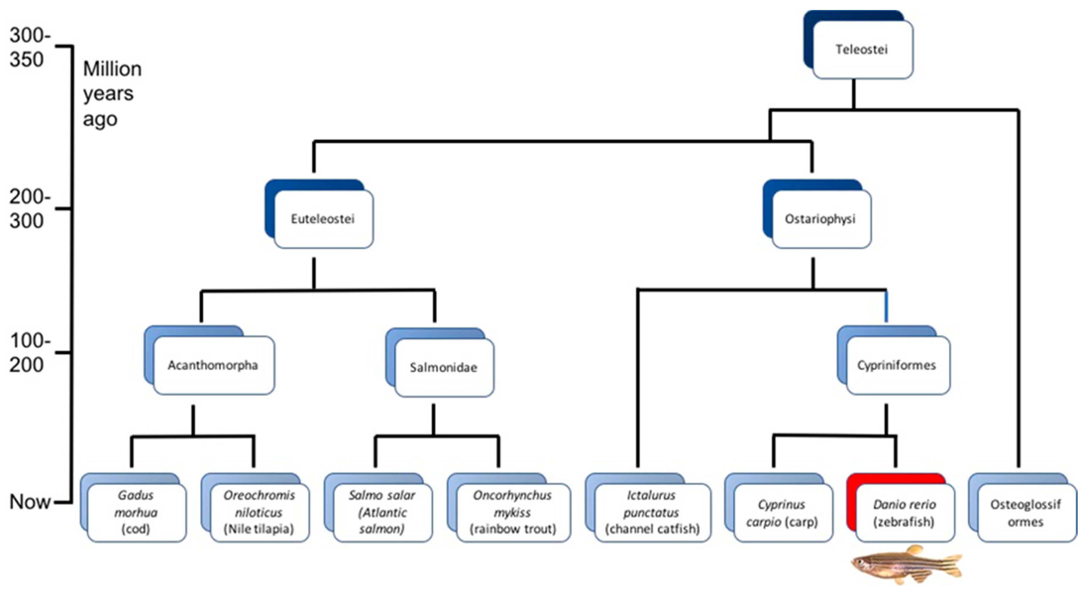 Pathogens 09 00609 g001