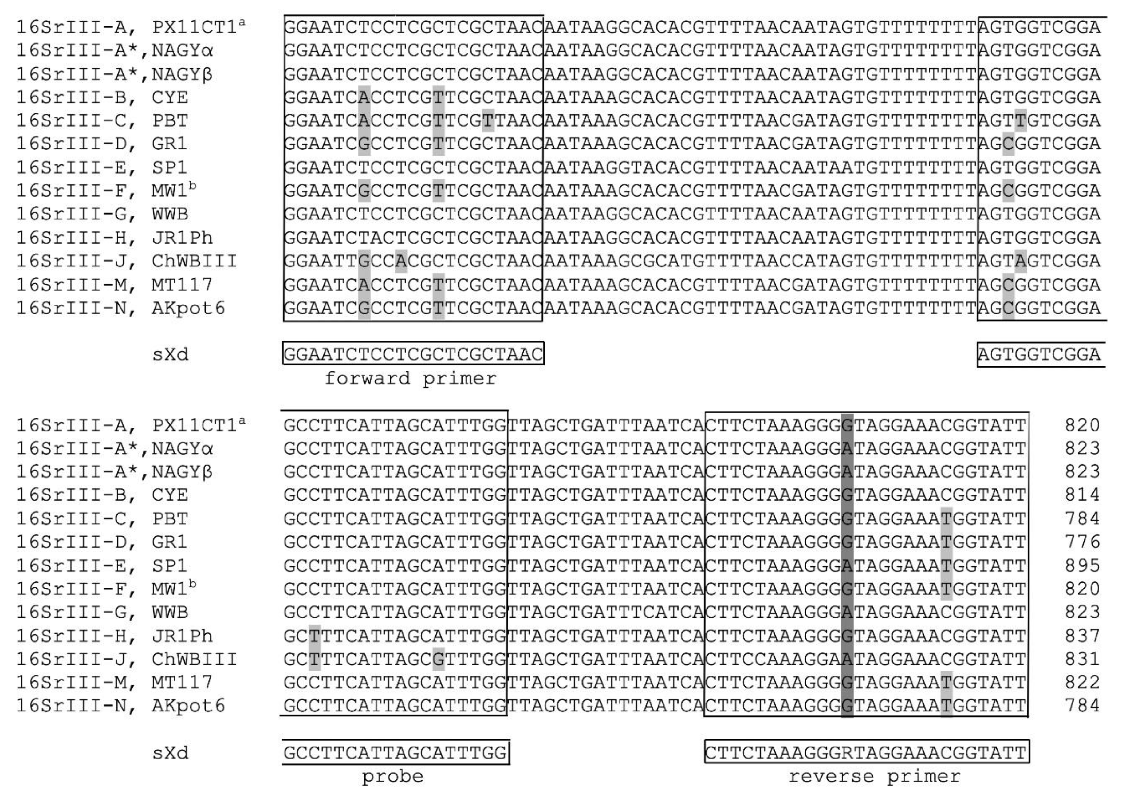 Pathogens Free Full Text Development And Validation Of A New Taqman Real Time Pcr For Detection Of Candidatus Phytoplasma Pruni Html