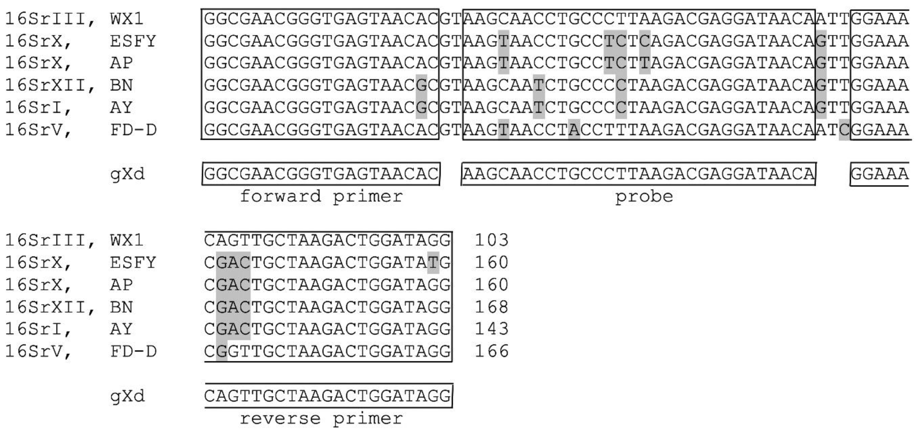 Pathogens 09 00642 g002 Pathogens 09 00642 g002