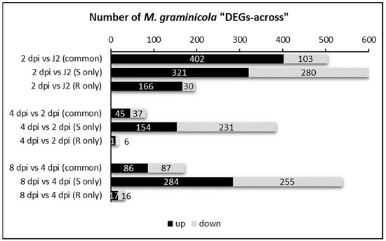 M&M's Color Distribution Analysis –