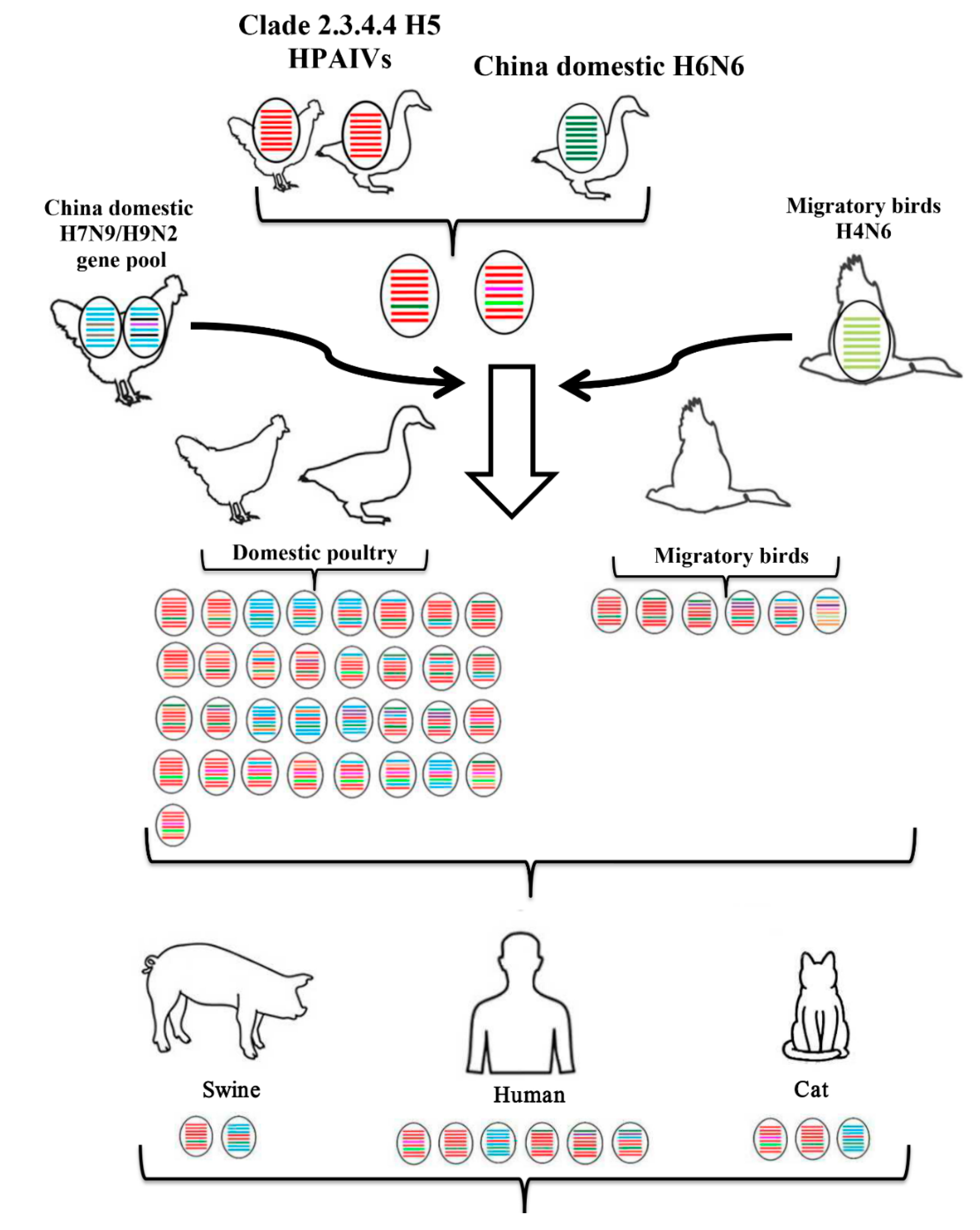 Pathogens 09 00670 g003 Pathogens 09 00670 g003