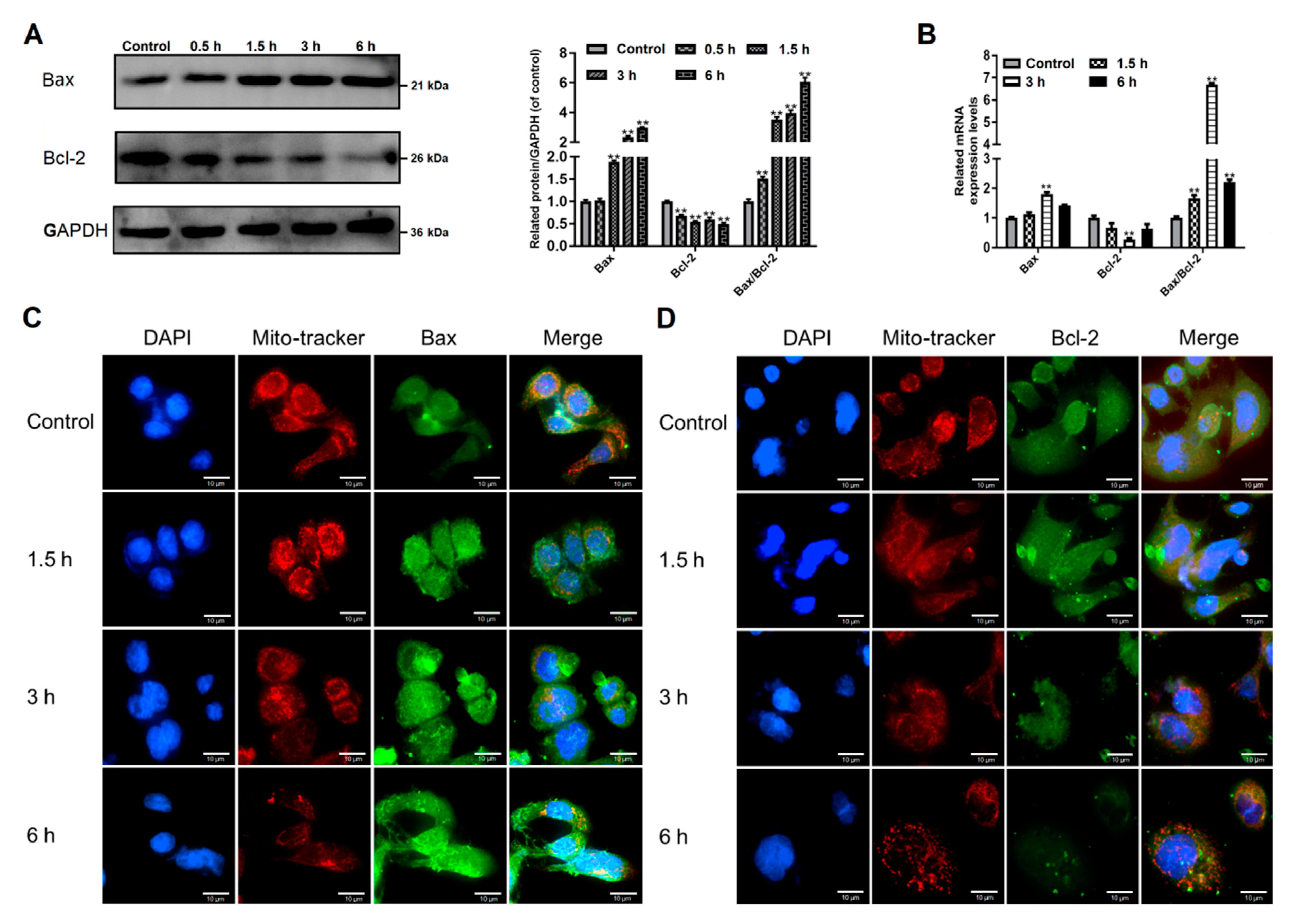 Pathogens 09 00693 g003