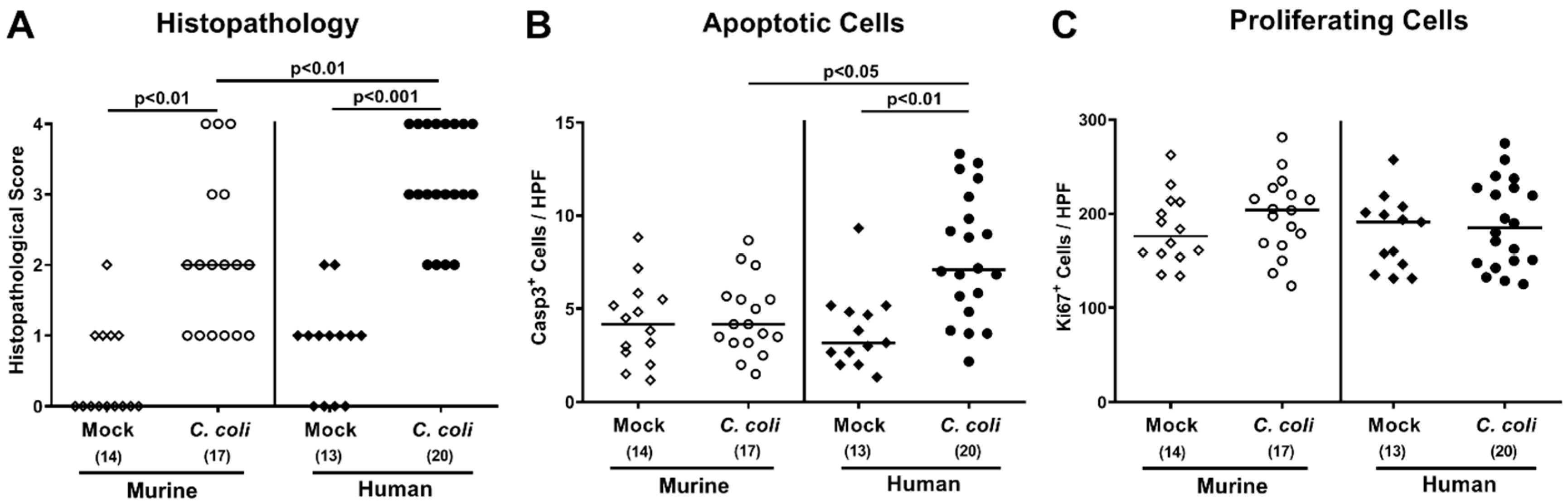Pathogens 09 00804 g006