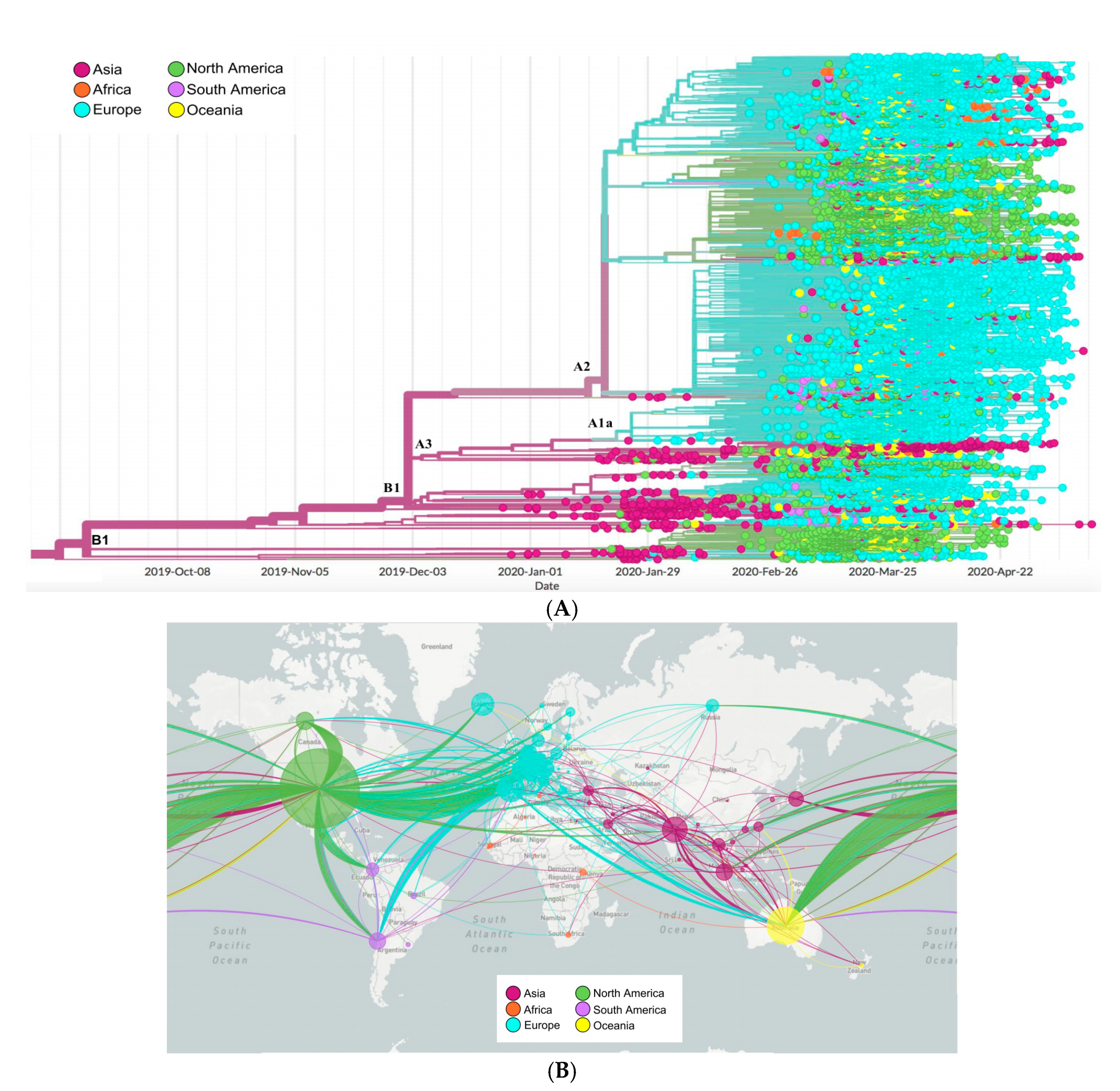 Pathogens 09 00829 g007