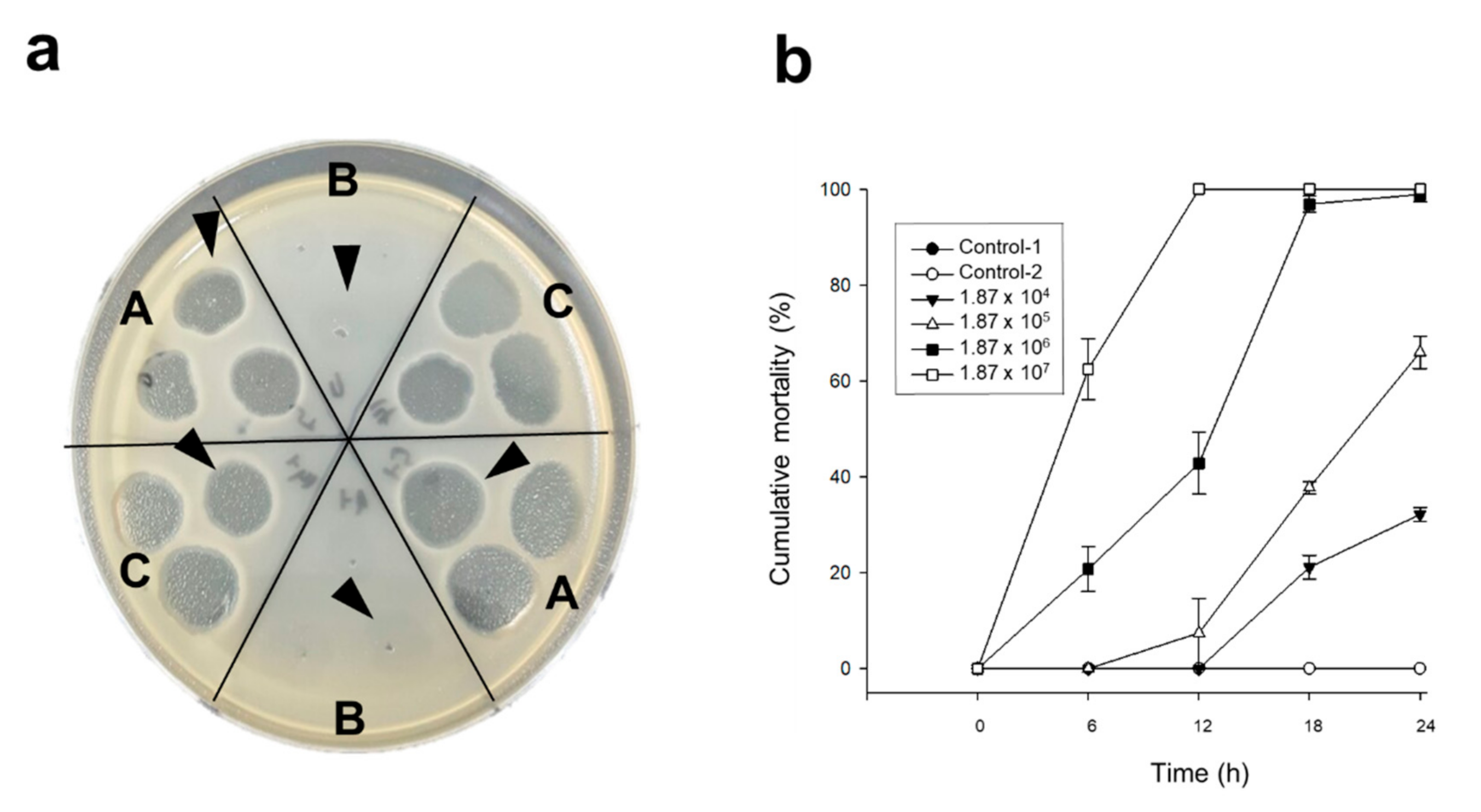Pathogens 09 00831 g001