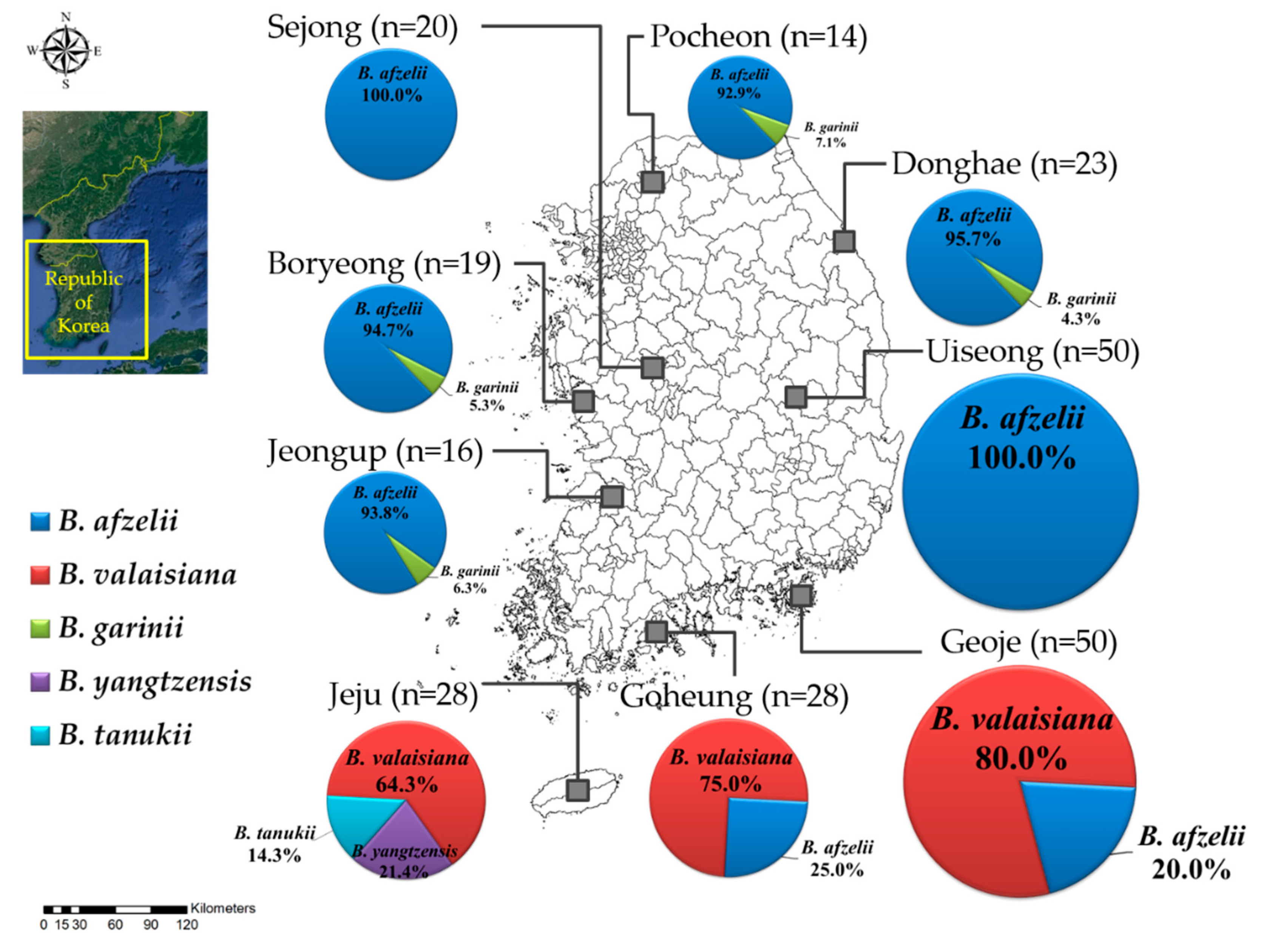 Pathogens | Free Full-Text | Geographical Distribution of Borrelia  burgdorferi sensu lato in Ticks Collected from Wild Rodents in the Republic  of Korea