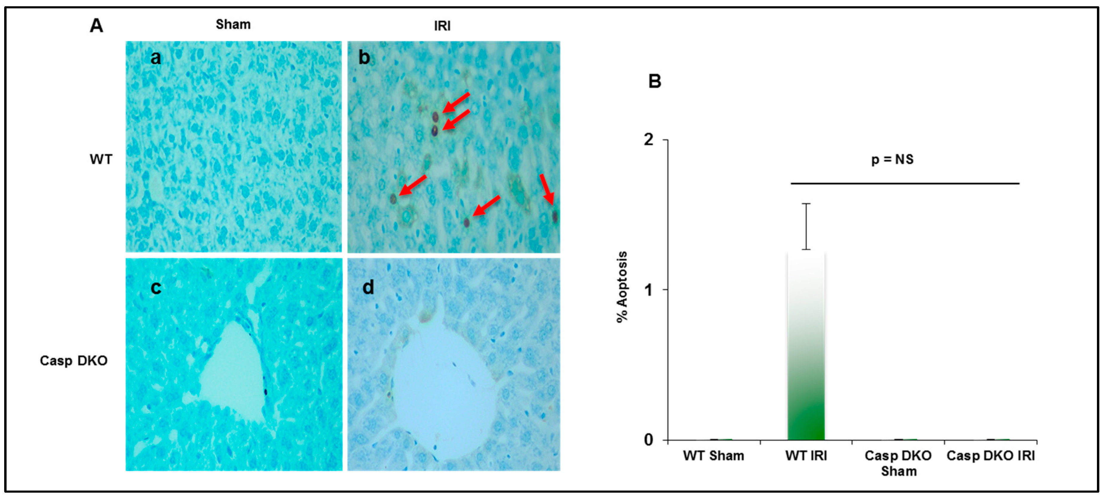 Pathogens 09 00879 g008