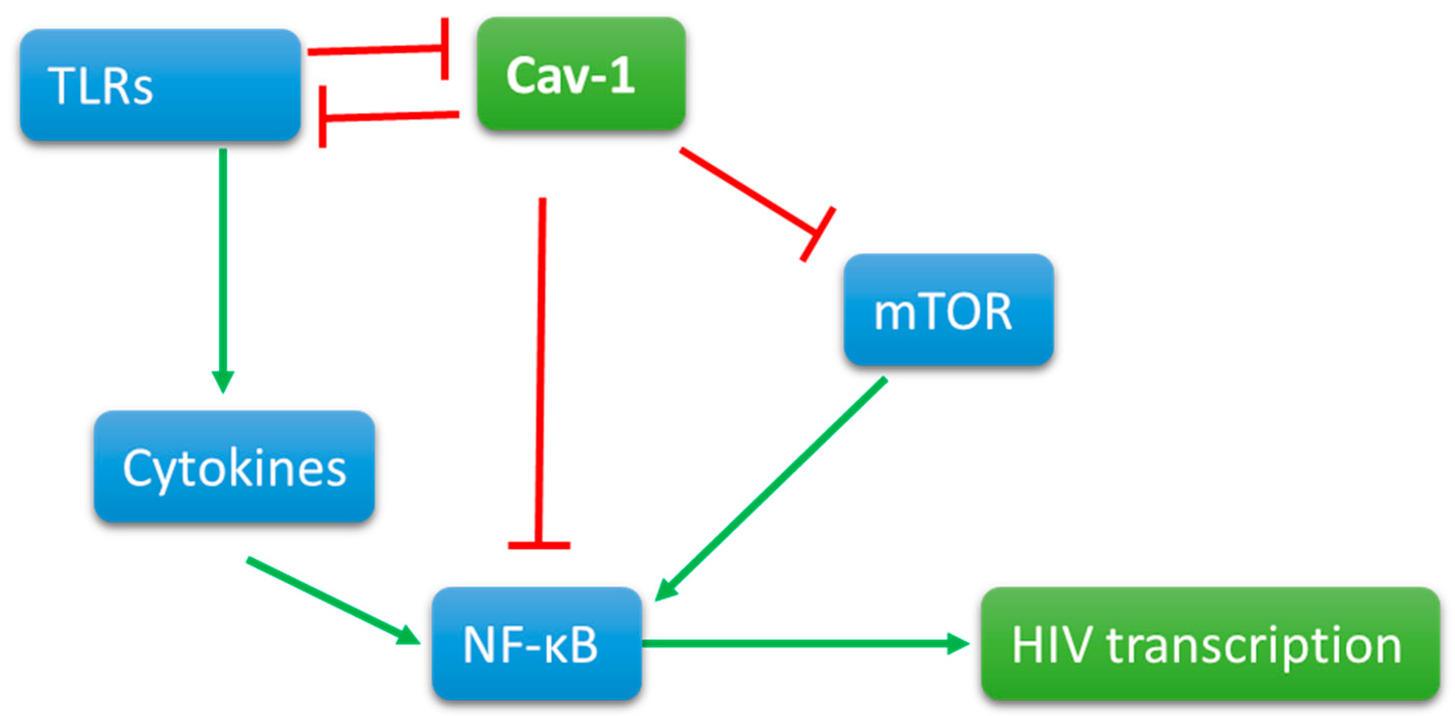 Pathogens 09 00896 g001