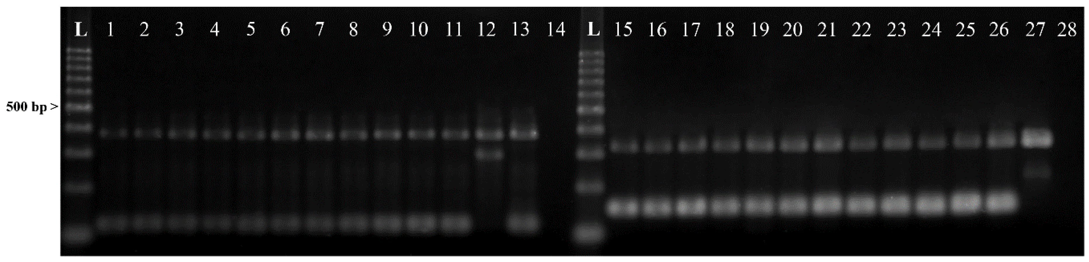 Pathogens 09 00910 g002 Pathogens 09 00910 g002