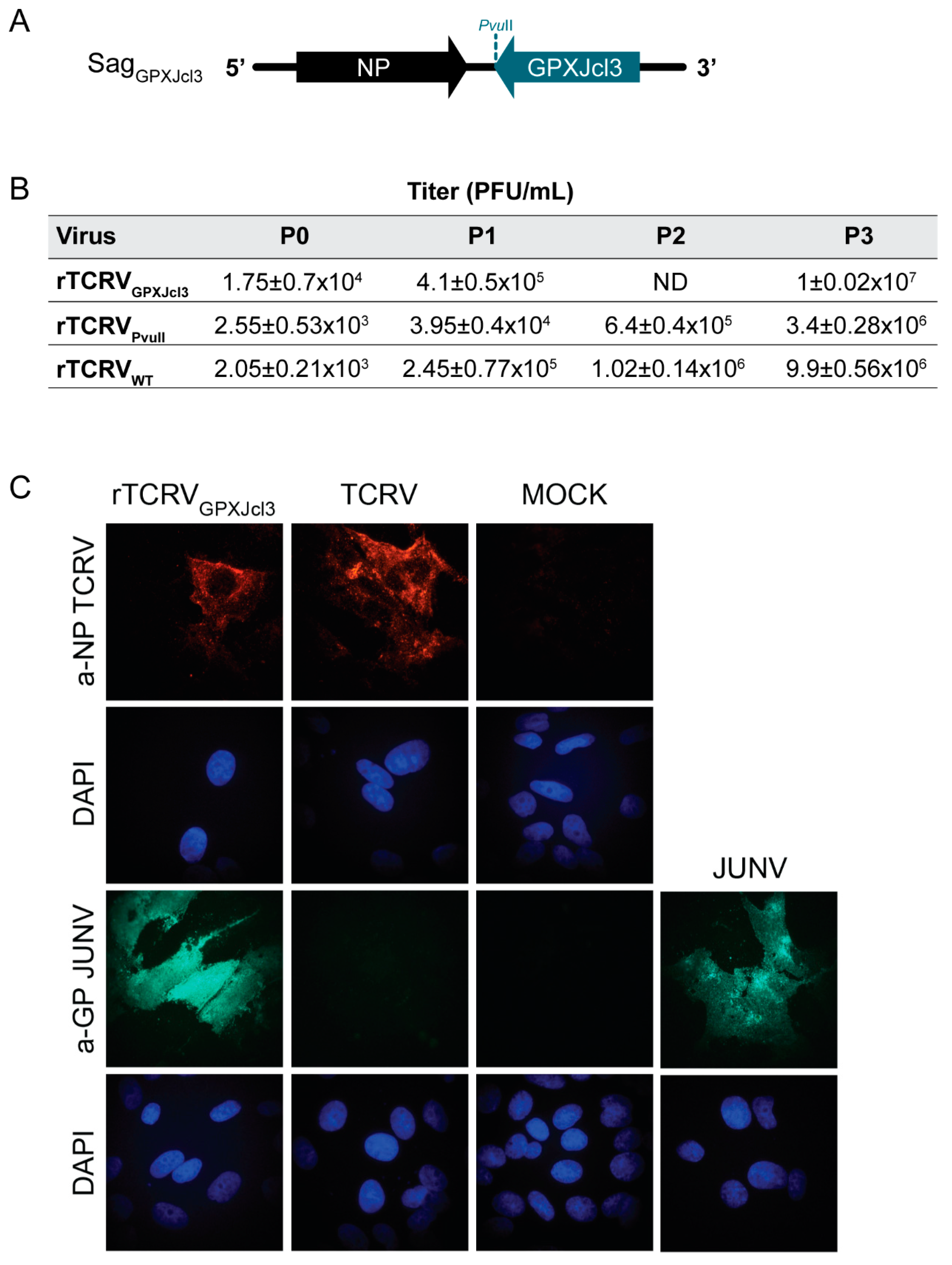 Pathogens 09 00948 g003 Pathogens 09 00948 g003