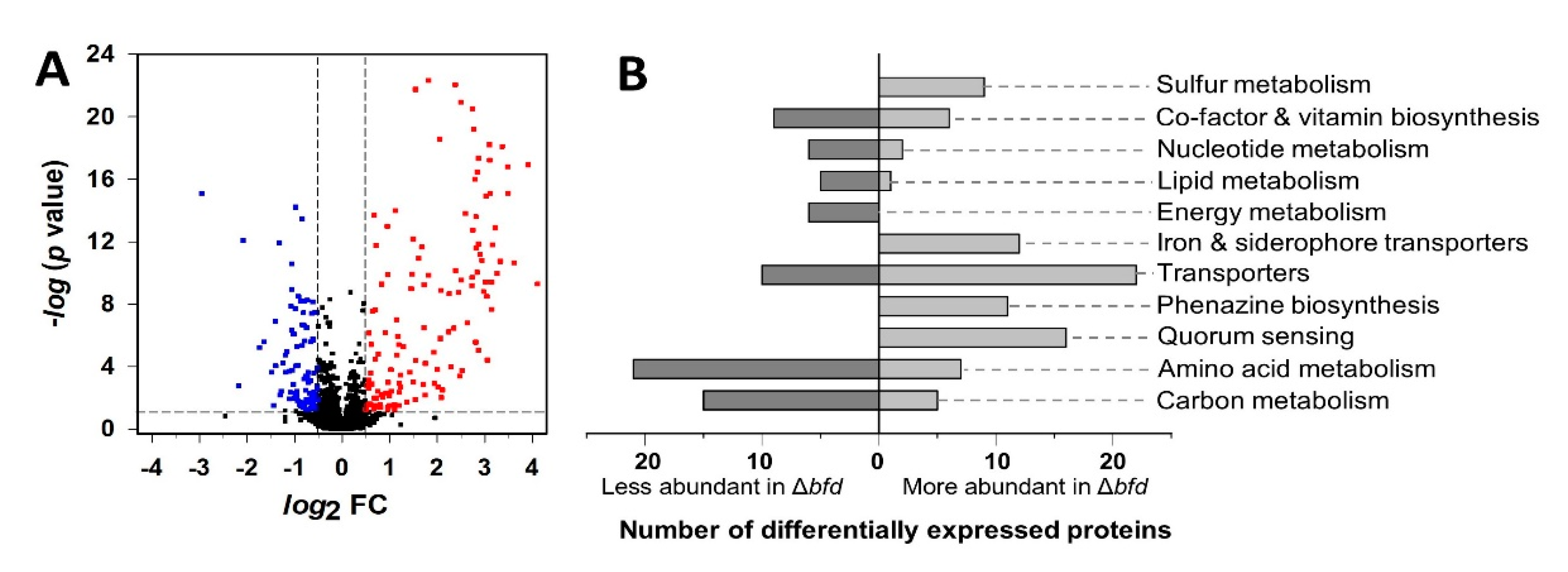 Pathogens 09 00980 g002 Pathogens 09 00980 g002