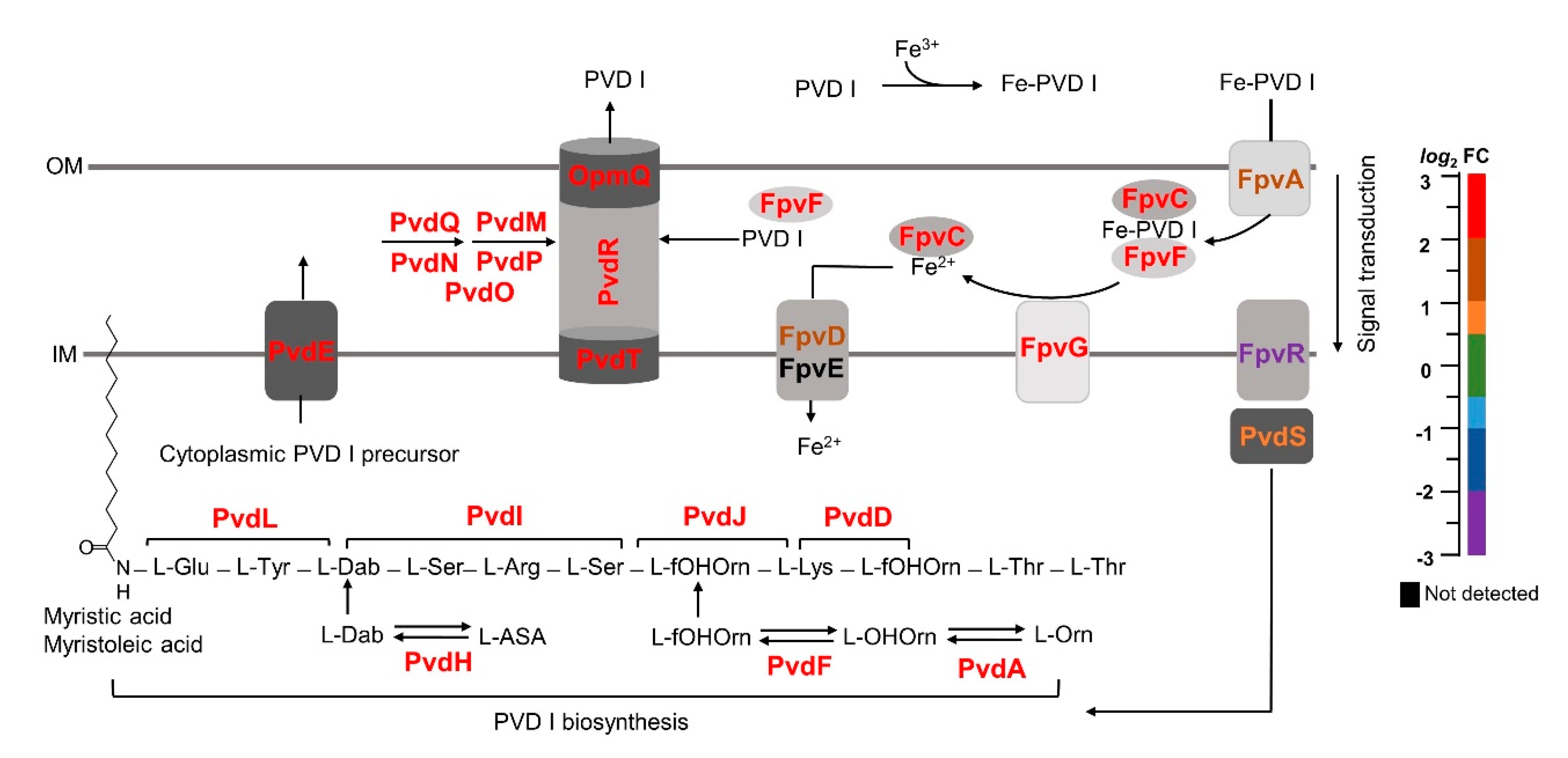 Pathogens 09 00980 g003 Pathogens 09 00980 g003